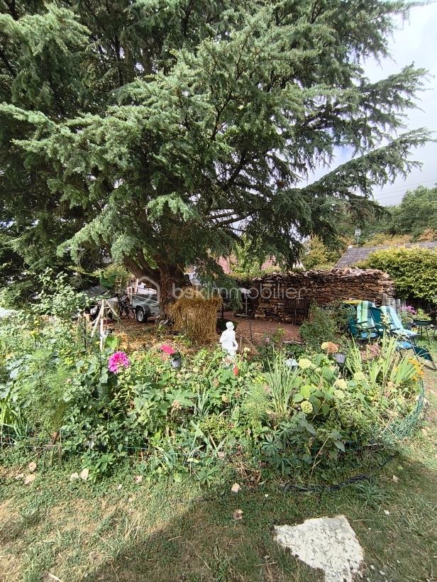 IMG_20260820_112349 - Copie.jpg