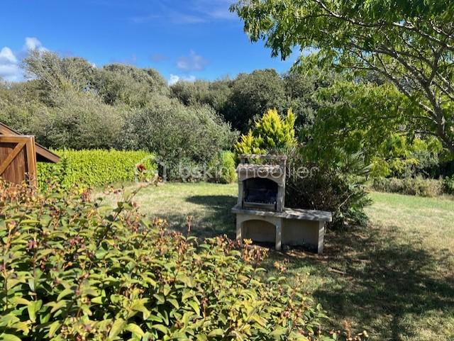 thumbnail_IMG_0160 (1).jpg