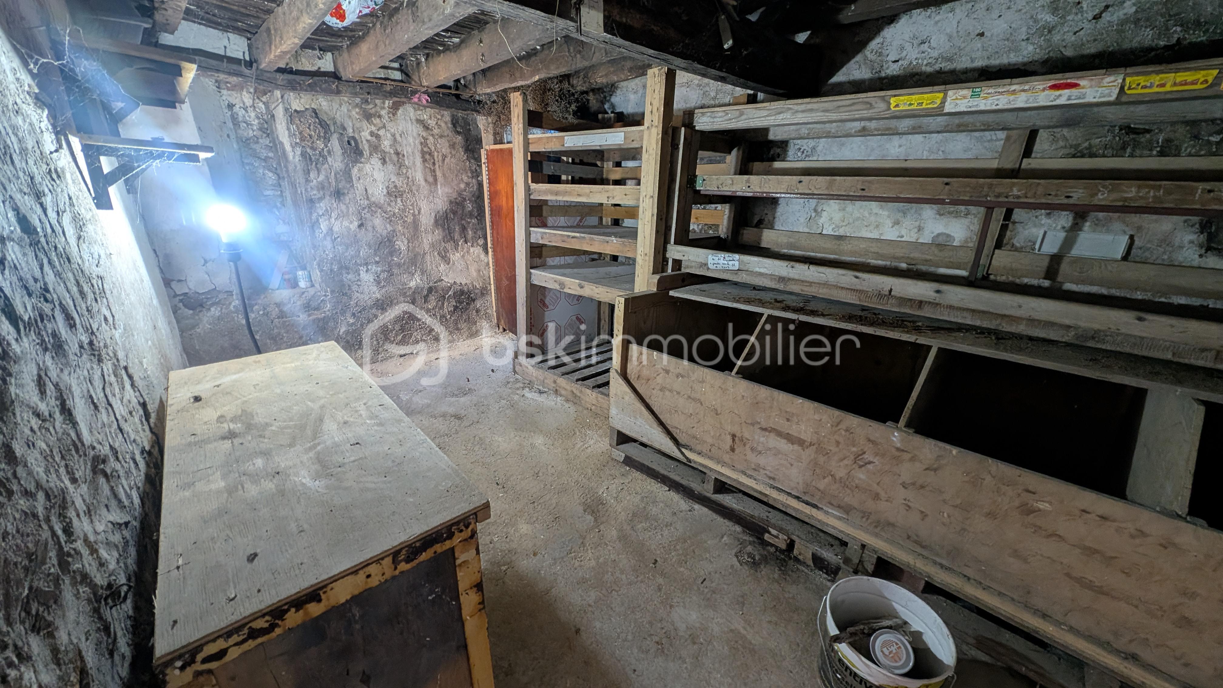PXL_20260728_083232317.jpg