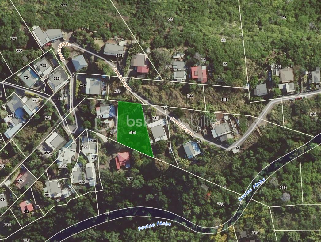 vue aéienne terrain.jpg