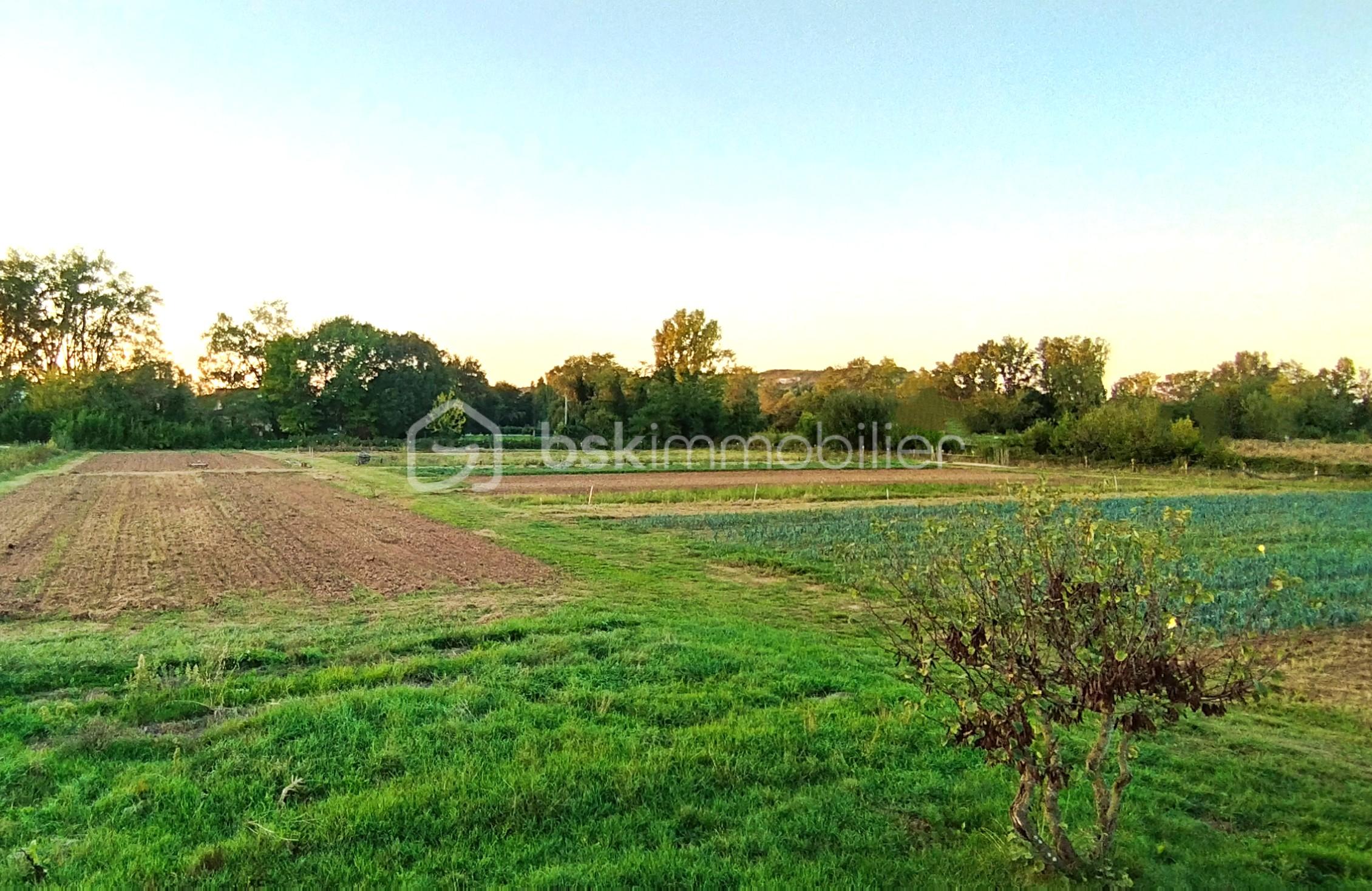 Maison de 73 m² - IMG_20250918_195104.jpg