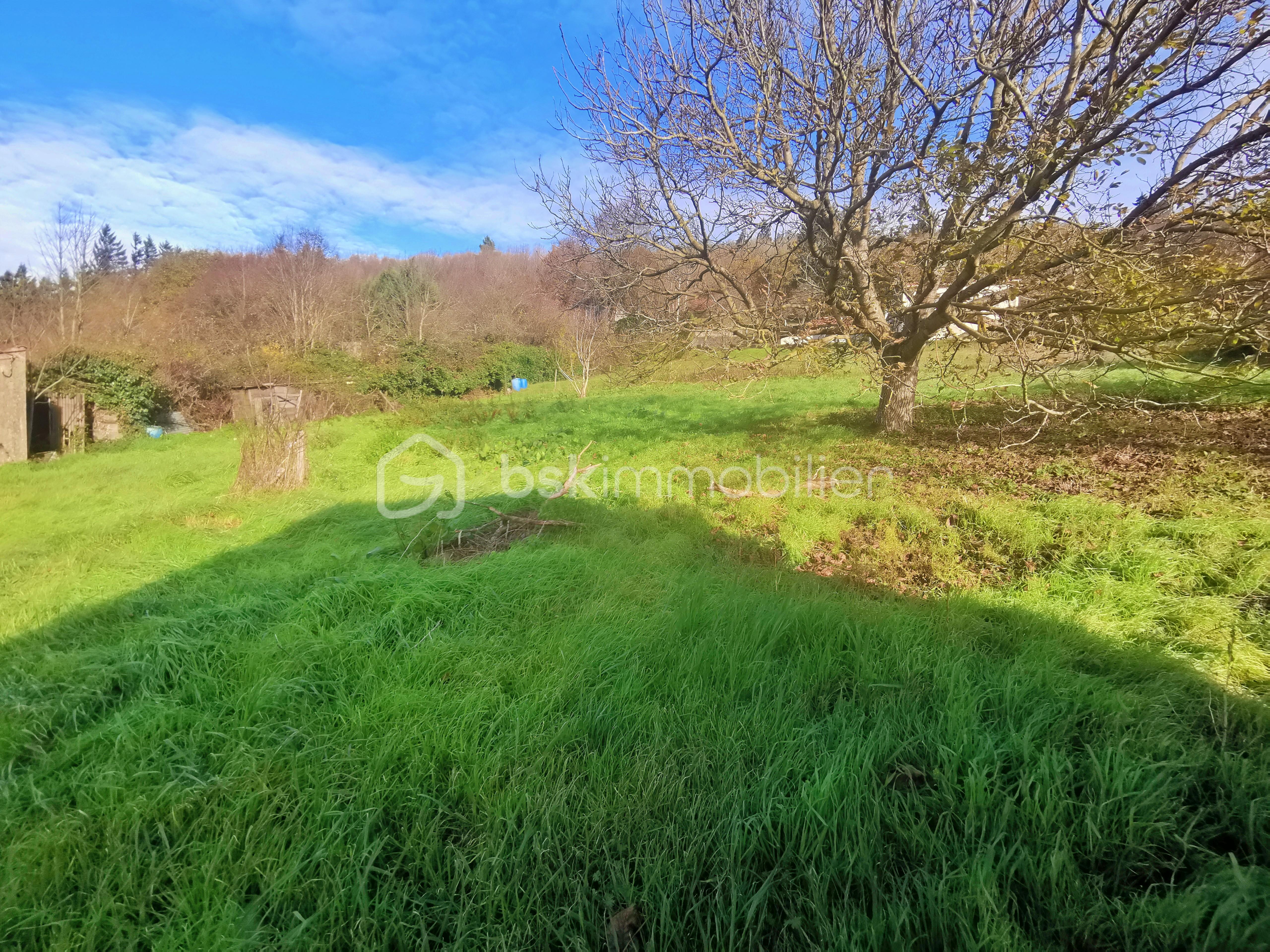 Lotissement de 1 233 m² - IMG_20251128_103511.jpg