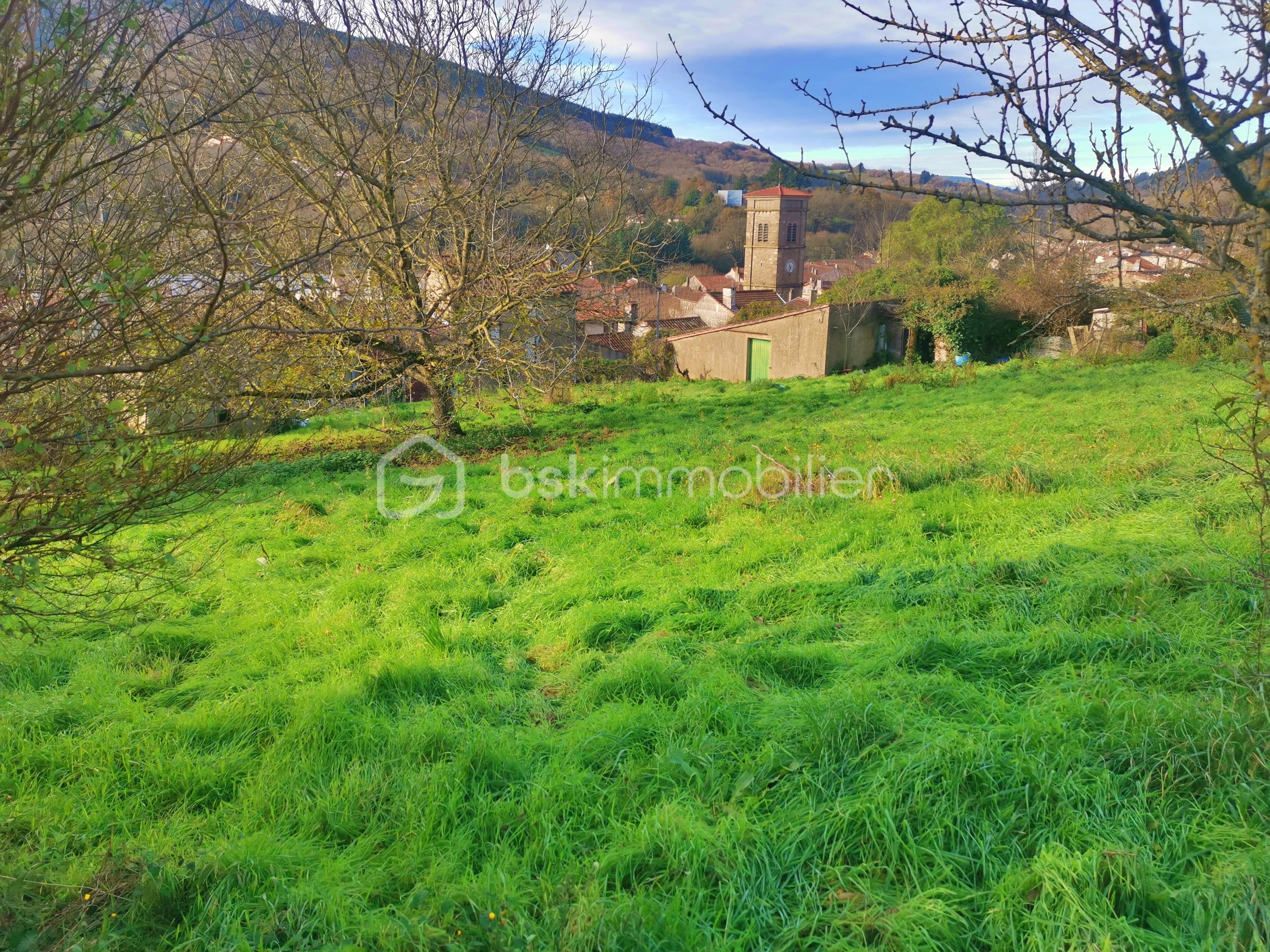 Lotissement de 1 233 m² - IMG_20251128_103404.jpg