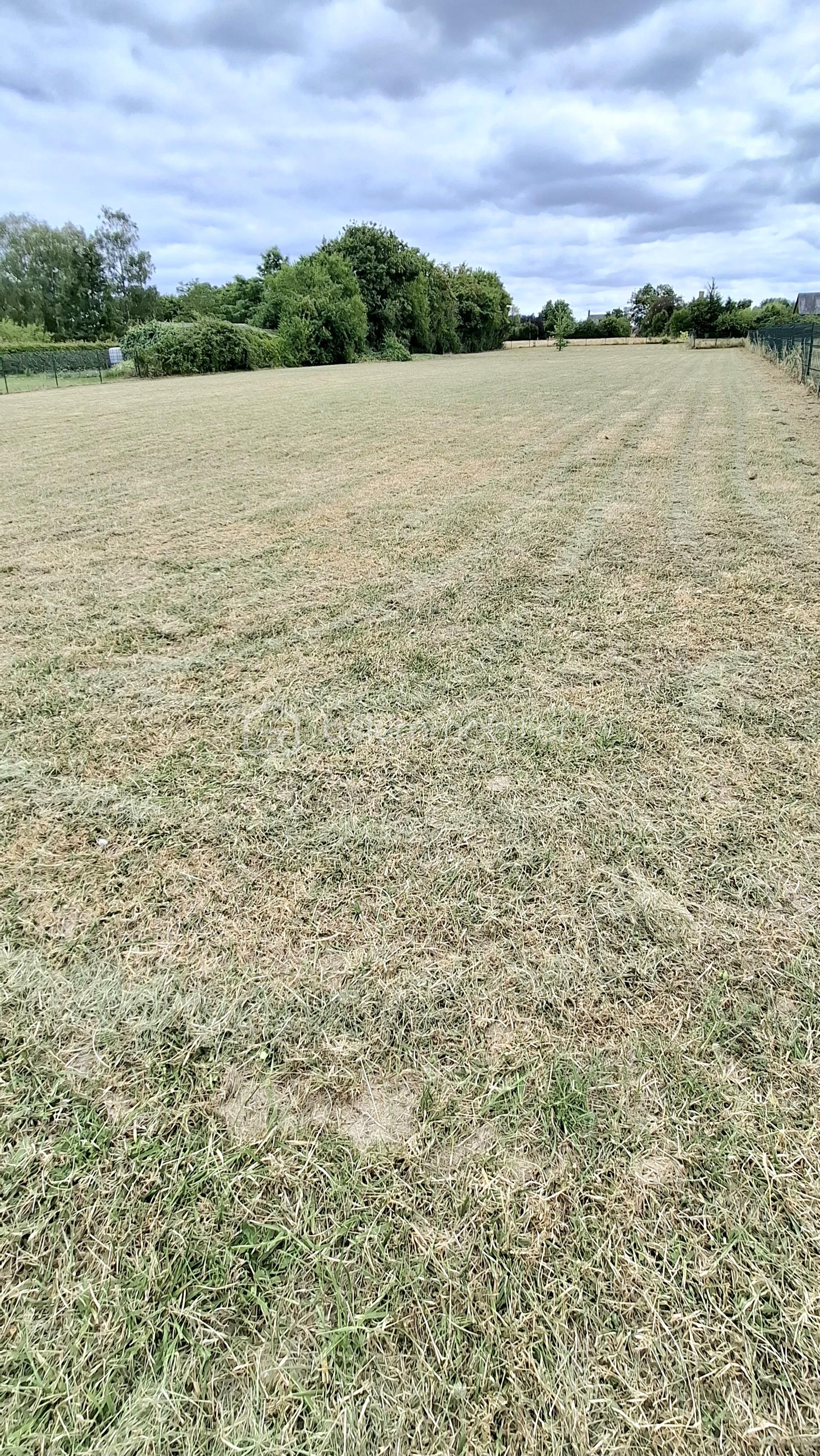 Maison de 220 m² - 20250717_144052.jpg