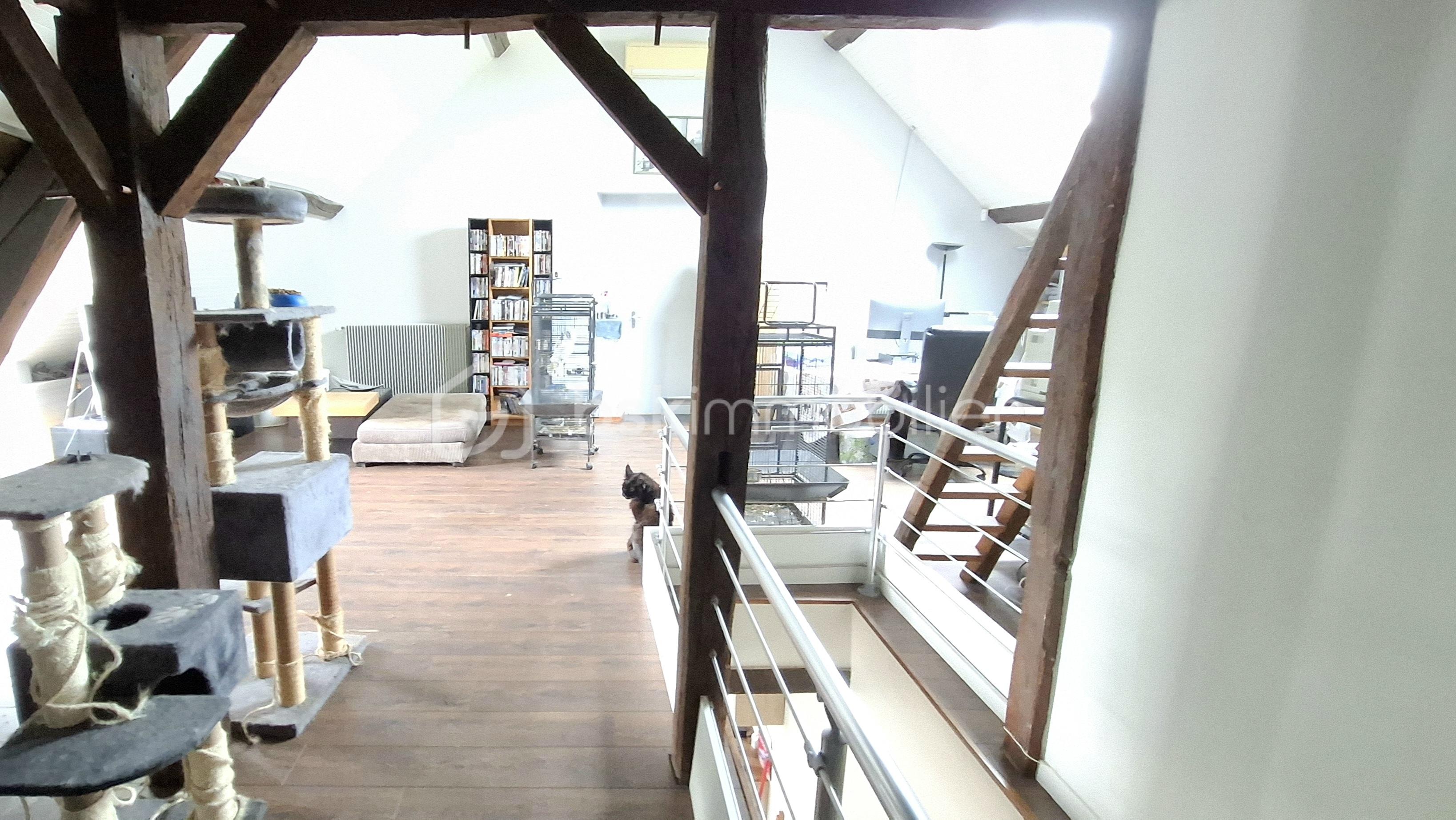 Maison de 220 m² - 20250717_142622.jpg