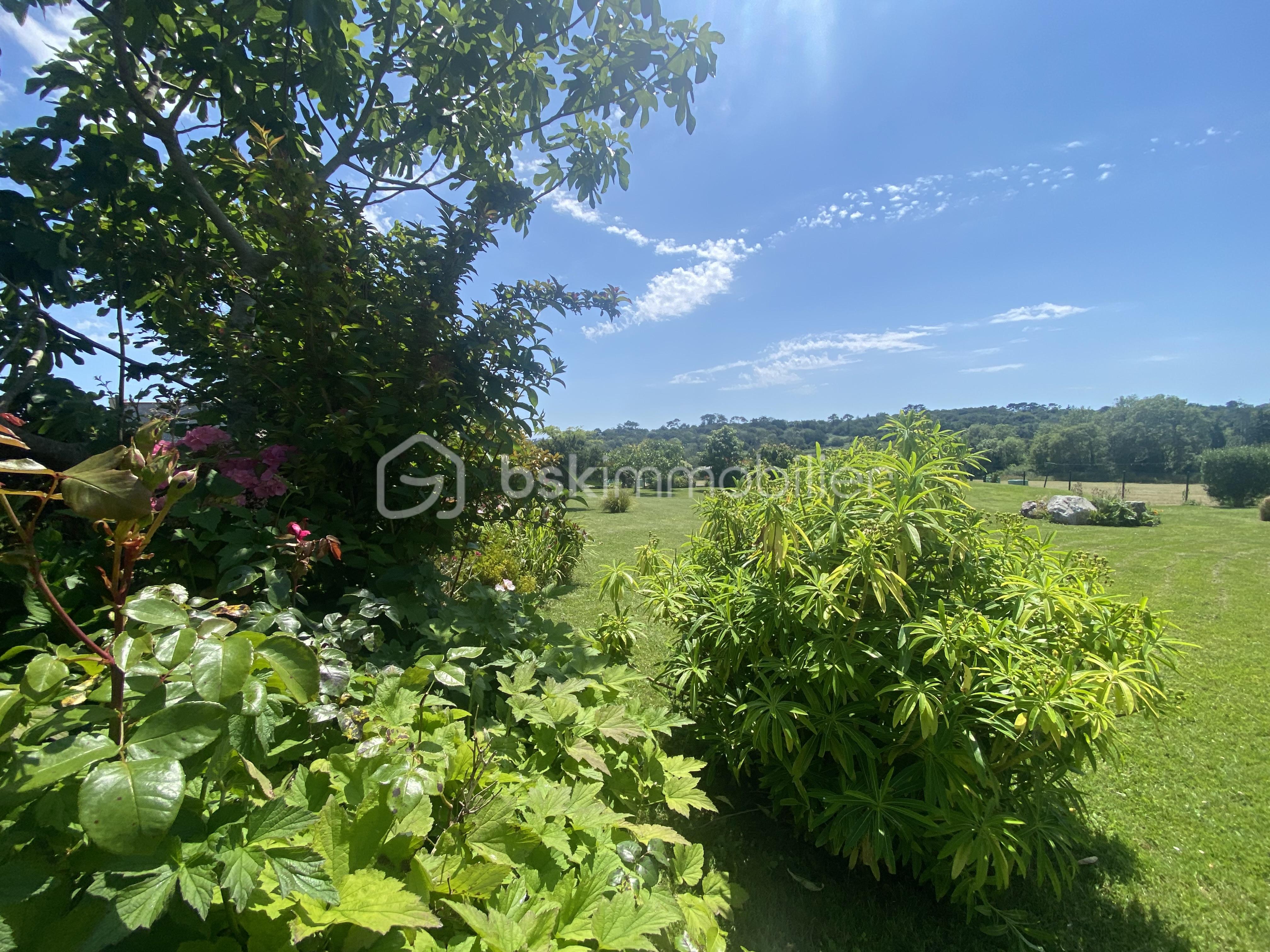 IMG_0618.jpeg