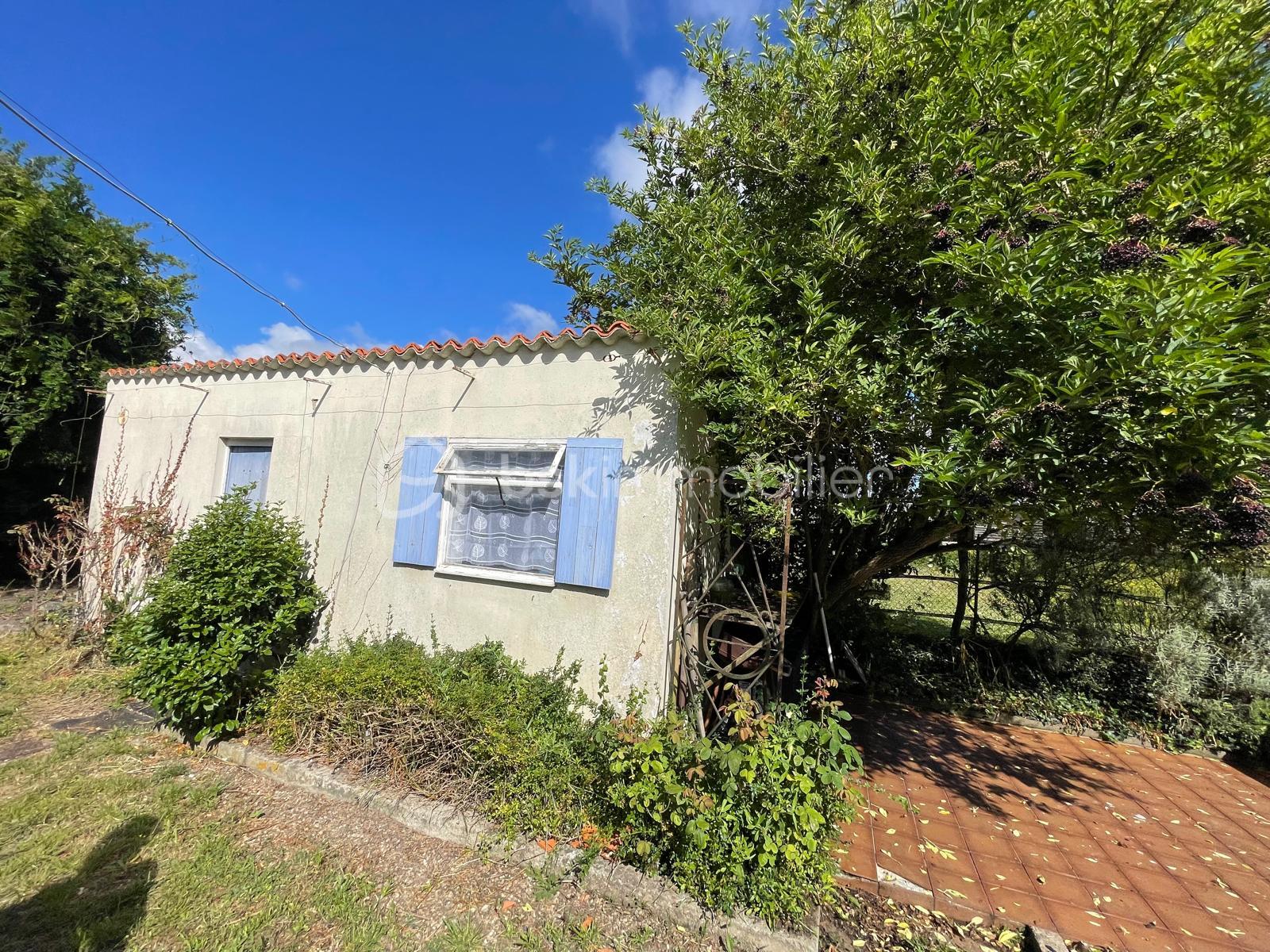 bsk immobilier 14.jpg