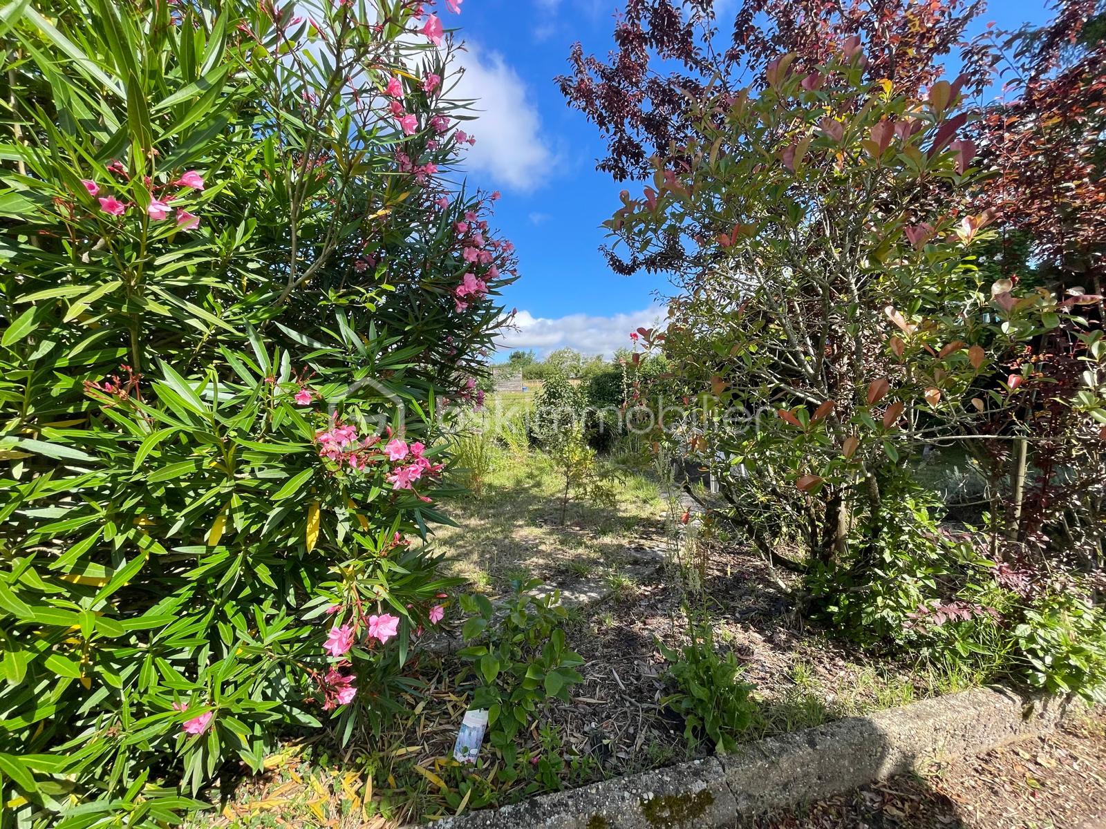 bsk immobilier 11.jpg