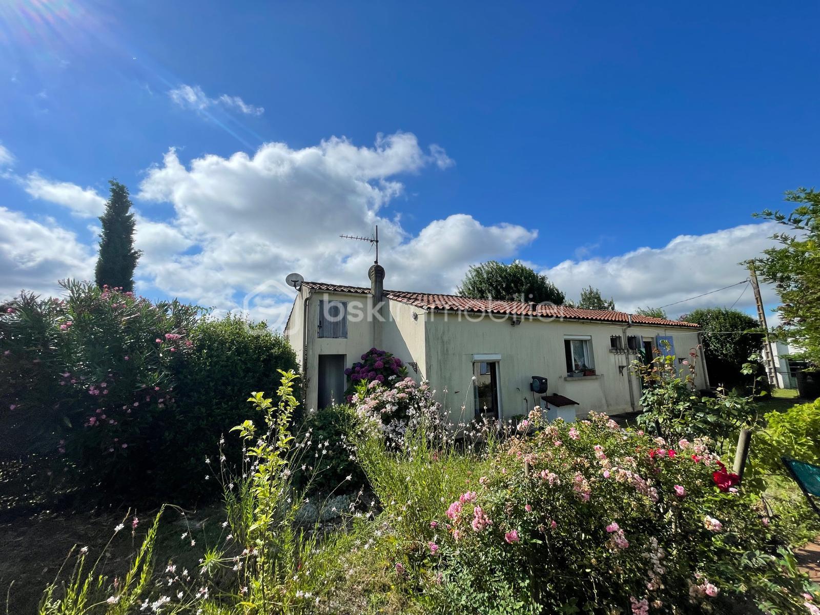 bsk immobilier 7.jpg