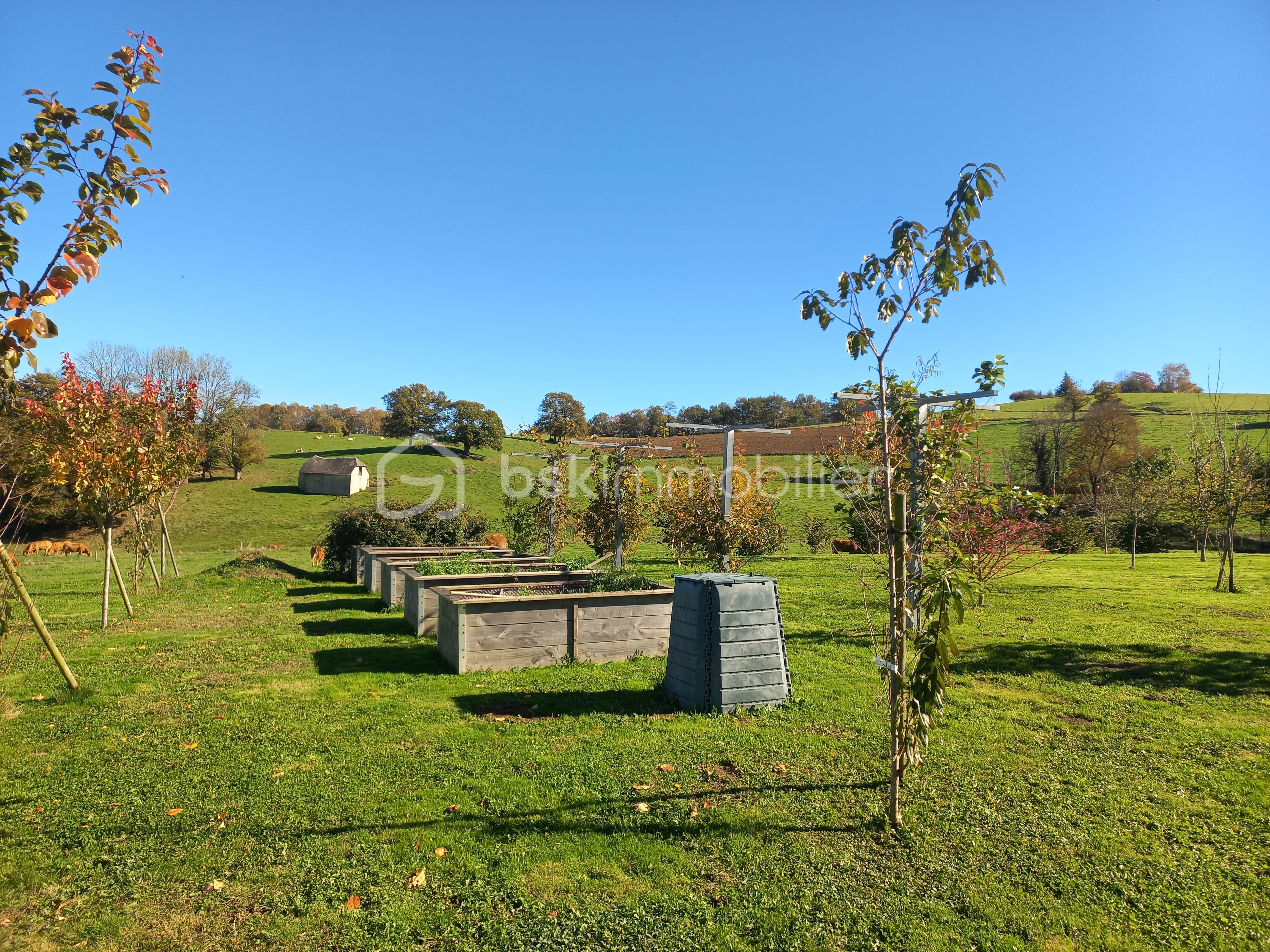 Maison traditionnelle de 220 m² - 20251103_131917.jpg