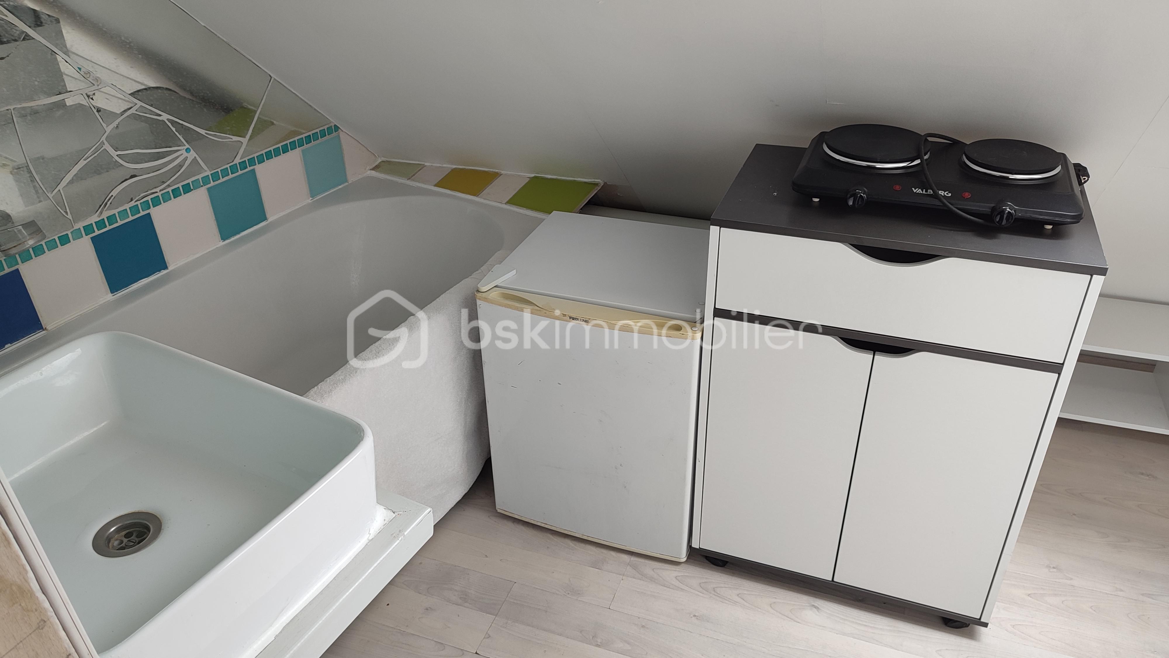 4 GAUCHE LAVABO FRIGO KITCHENETTE.jpg