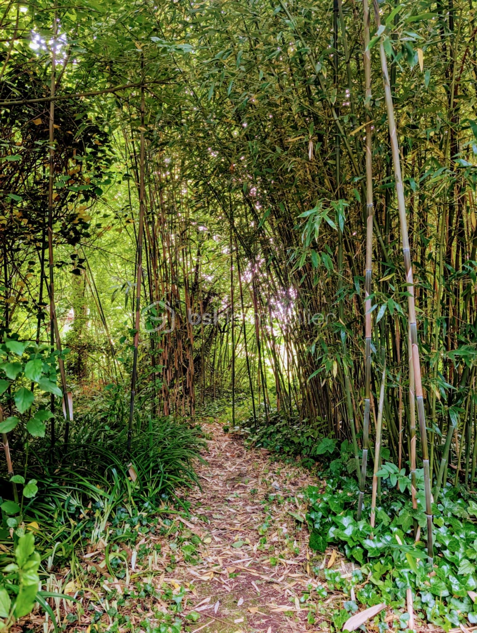 7531a682-3688-4b1a-83d7-54b7f09901f0.jfif