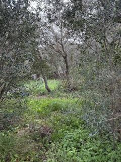 IMG_1302.jpeg