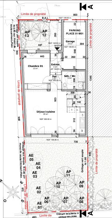 PLAN RDC MAISON 1.jpg