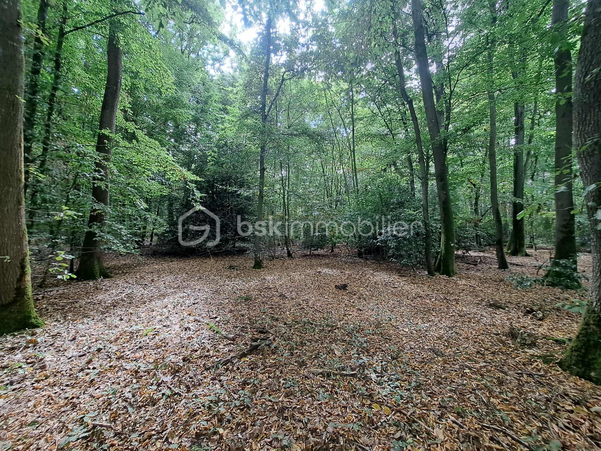 Maison de 117,42 m² - 750dca41-ae9e-4edf-91a6-74c8772e559f.jfif