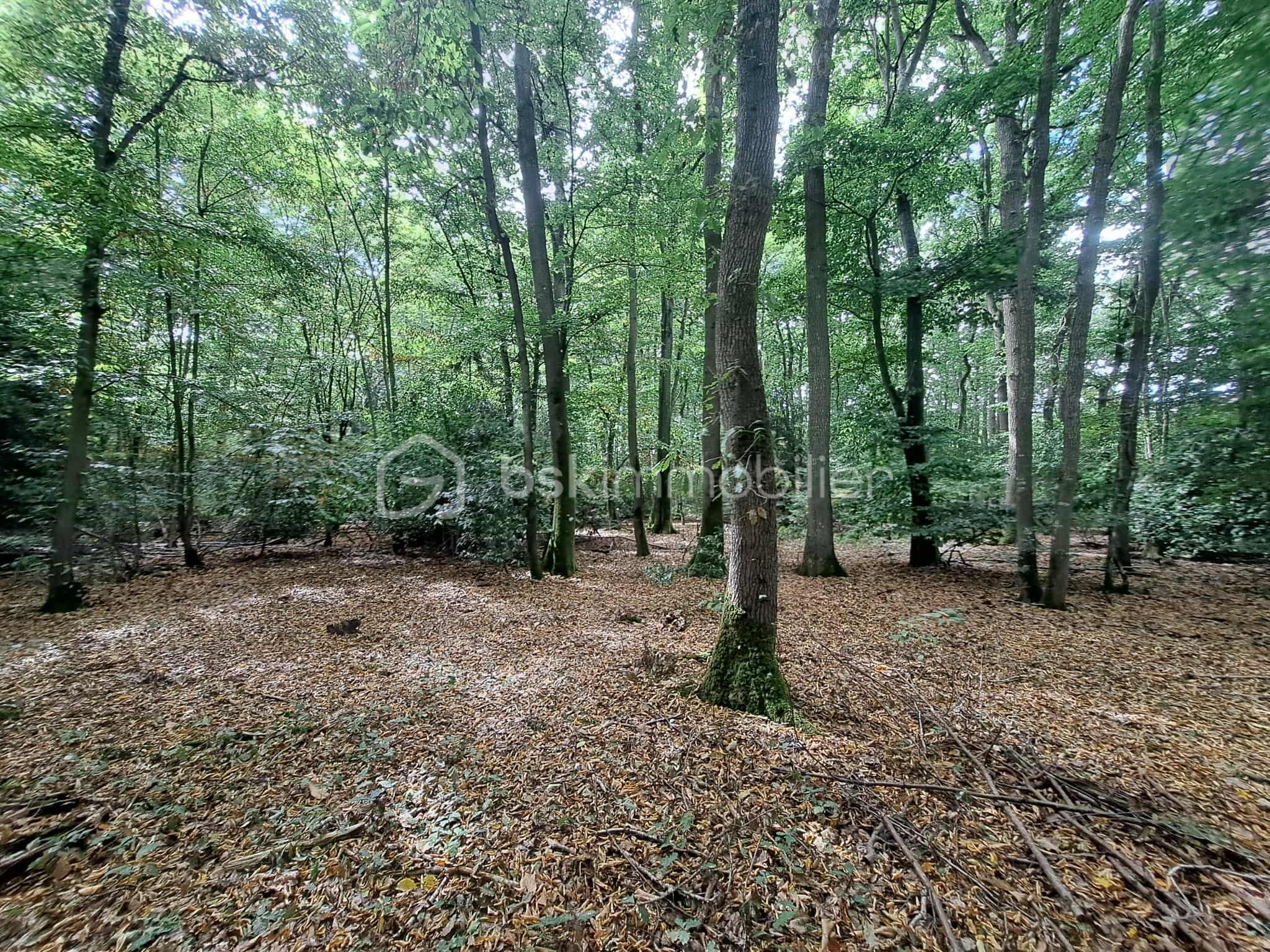 Maison de 117,42 m² - e03b2a9b-ddd0-4840-8693-74d7f6e3c871.jfif