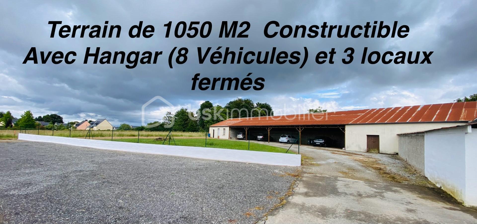 d0293ee9-42c8-4aeb-93db-ed5124ca3b48.jpg
