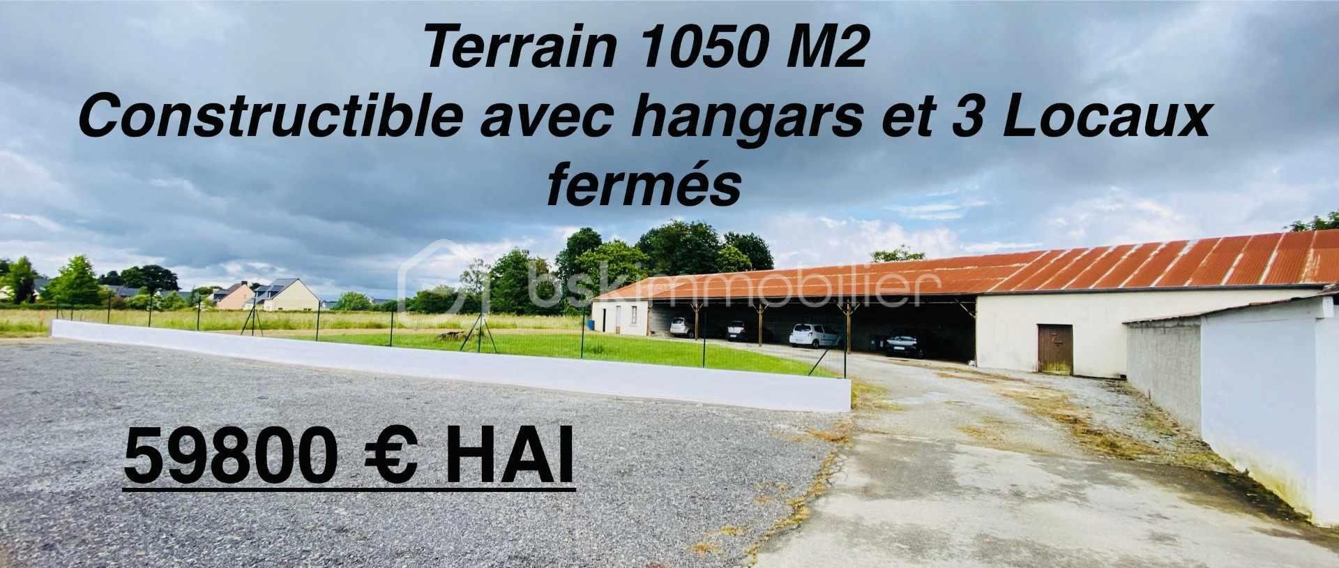53.jpg
