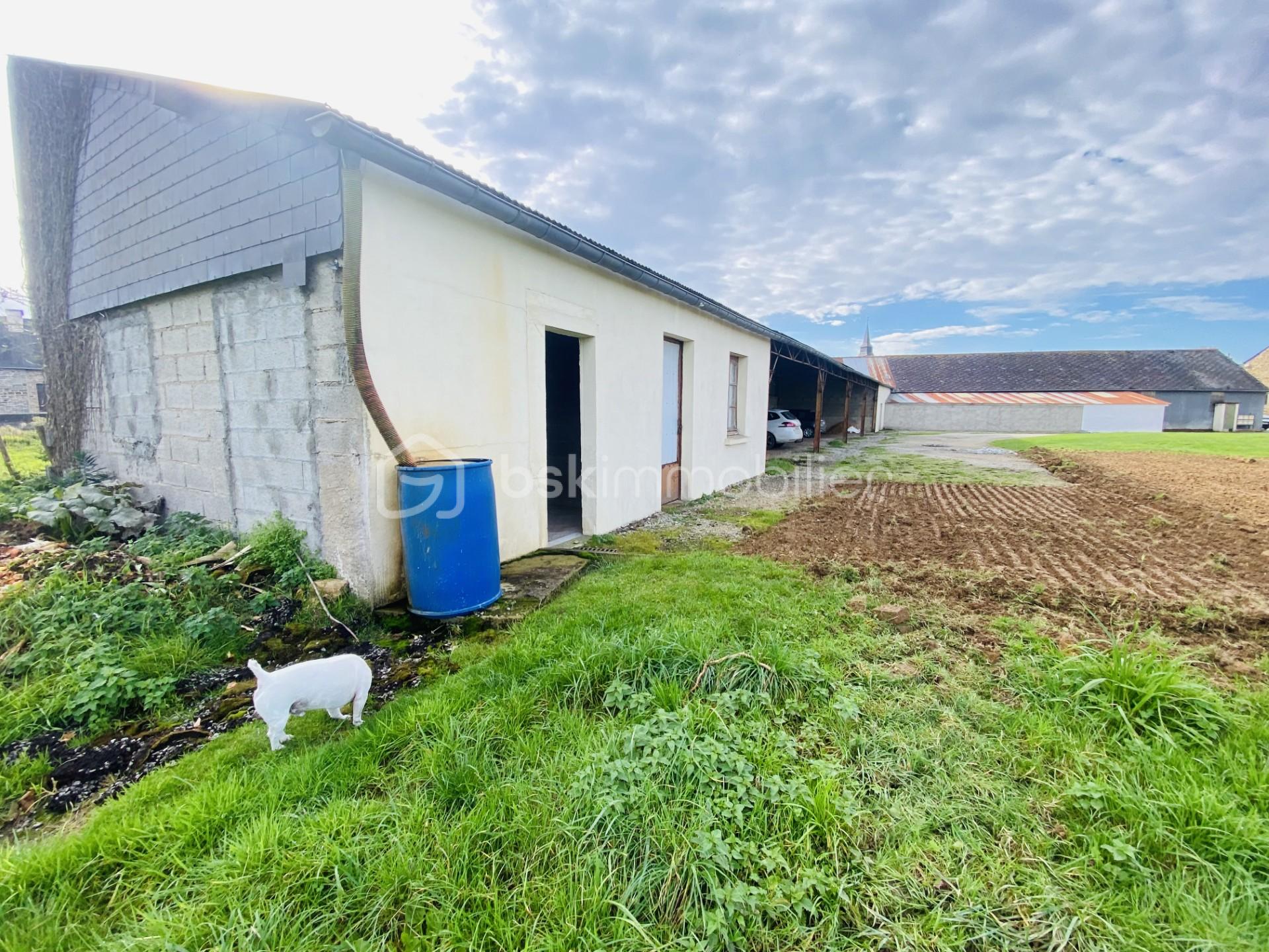 Terrain de 1 050 m² - thumbnail_IMG_9692.jpg