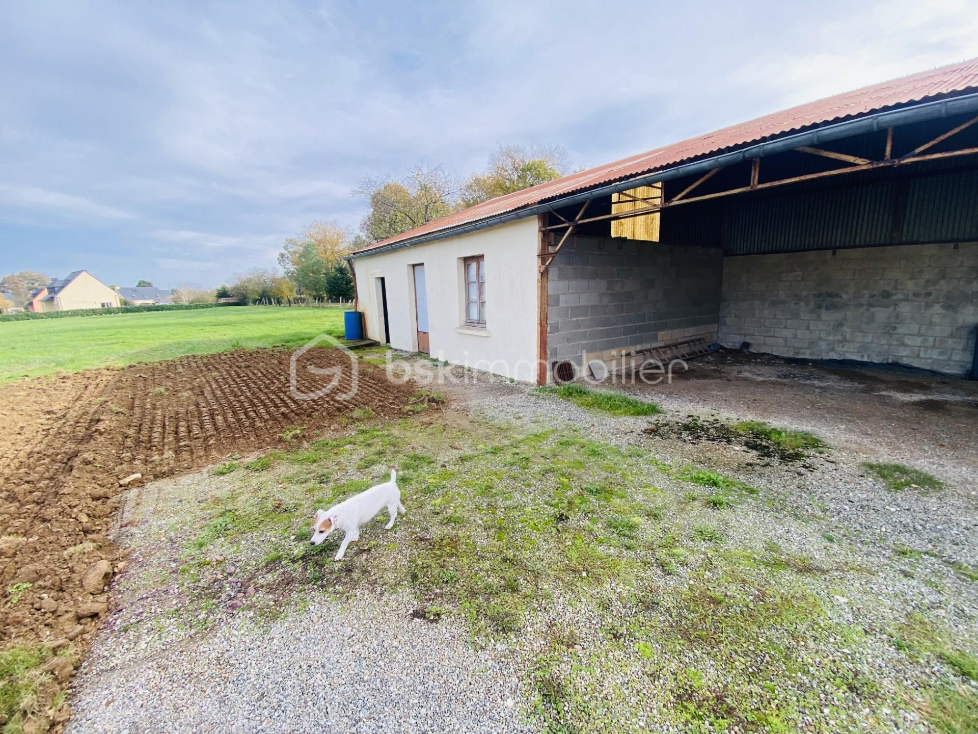 Terrain de 1 050 m² - thumbnail_IMG_9691.jpg