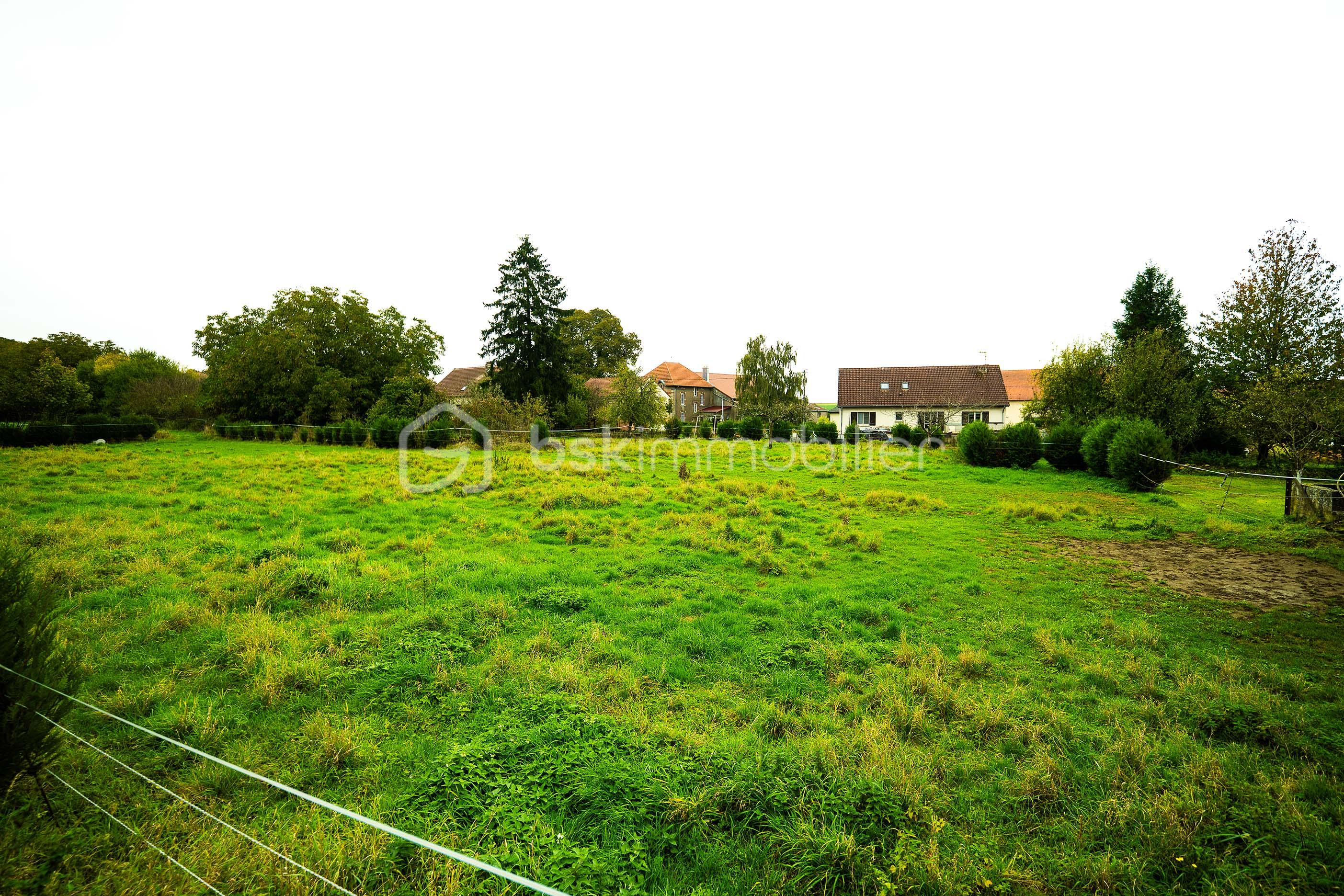 Terrain de 660 m² - Parcelle 660_1 FB.jpg