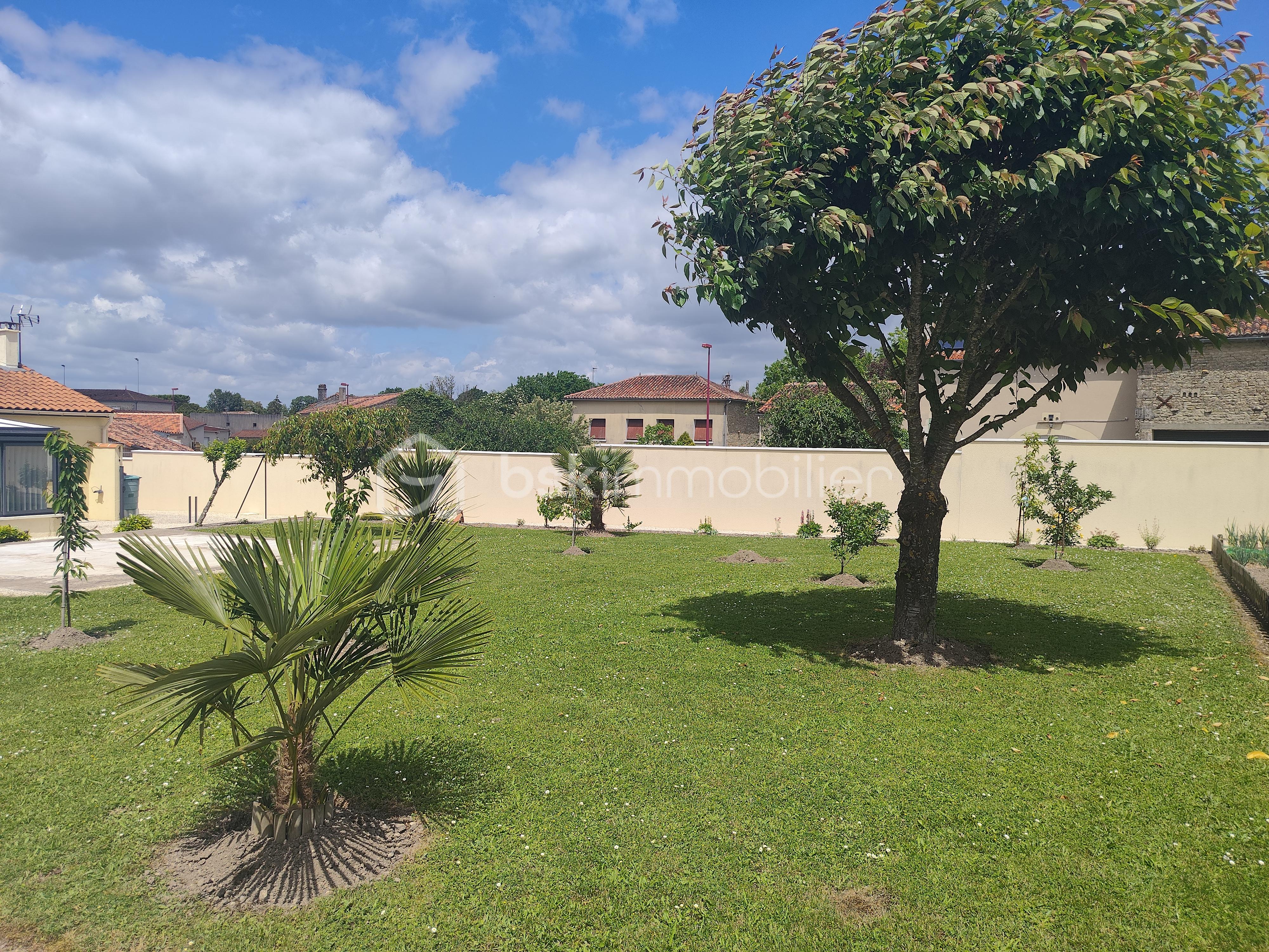 jardin.jpg