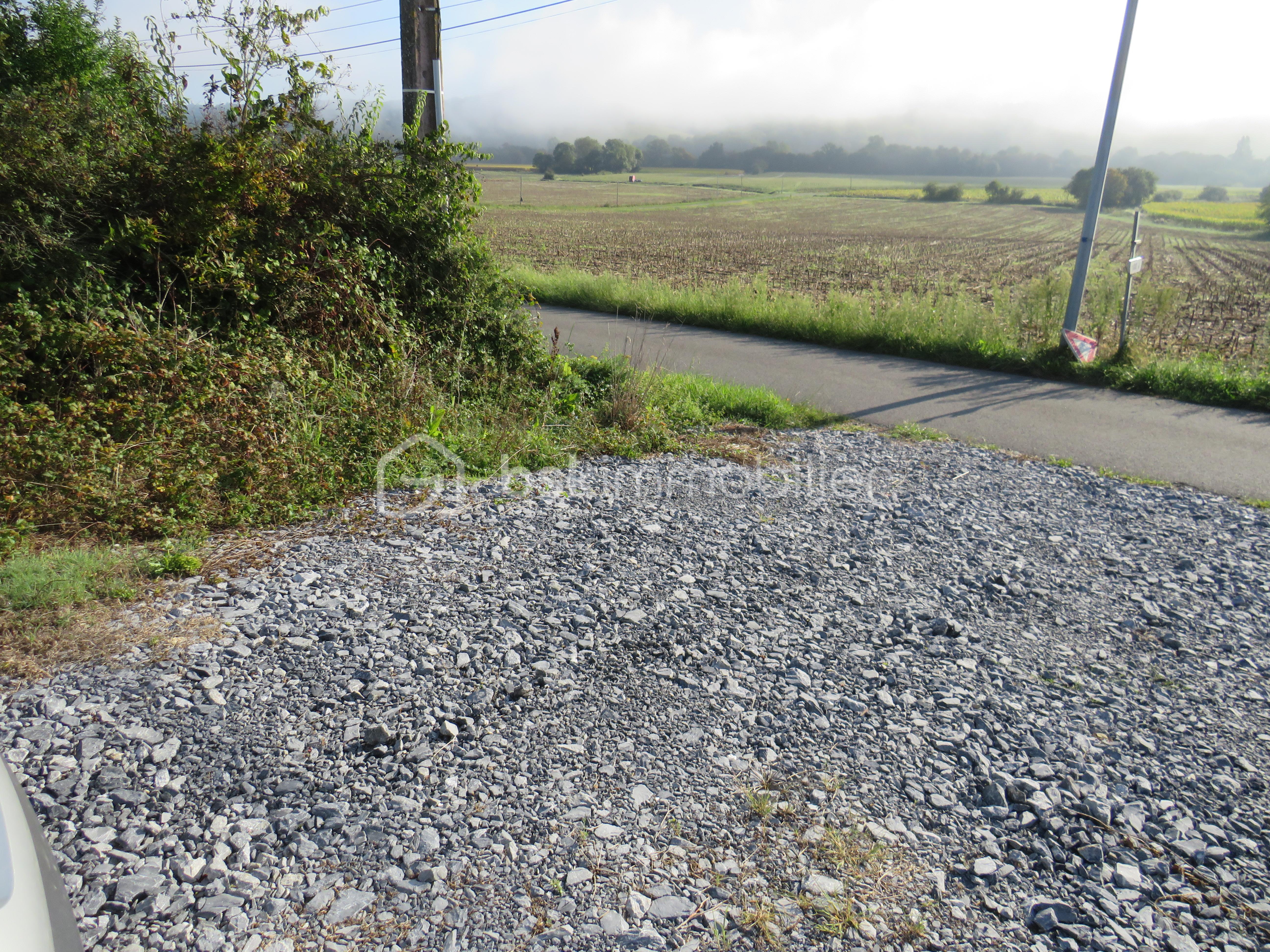 Terrain de 6 038 m² - IMG_4909.JPG