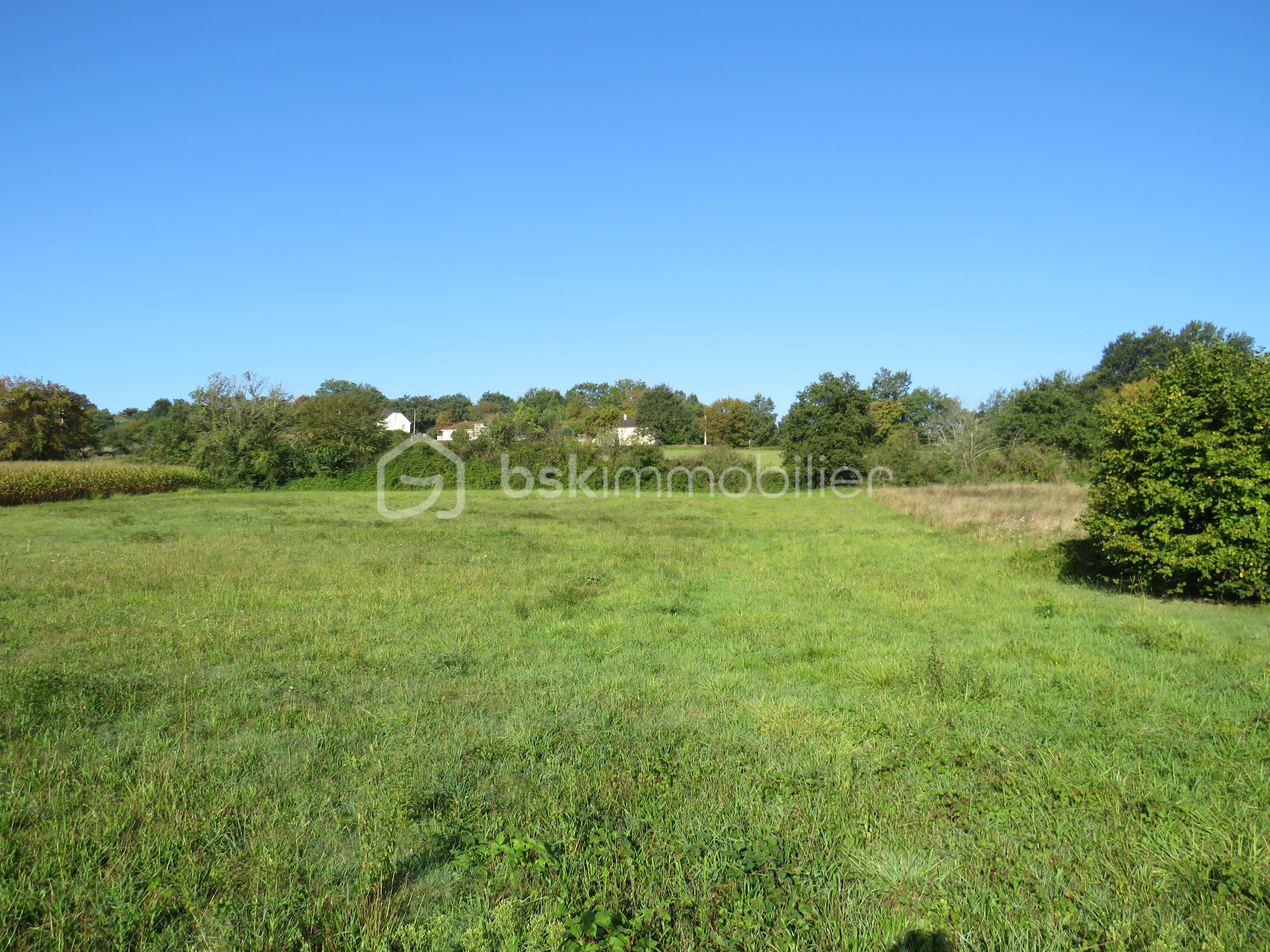 Terrain de 6 038 m² - IMG_4895.JPG