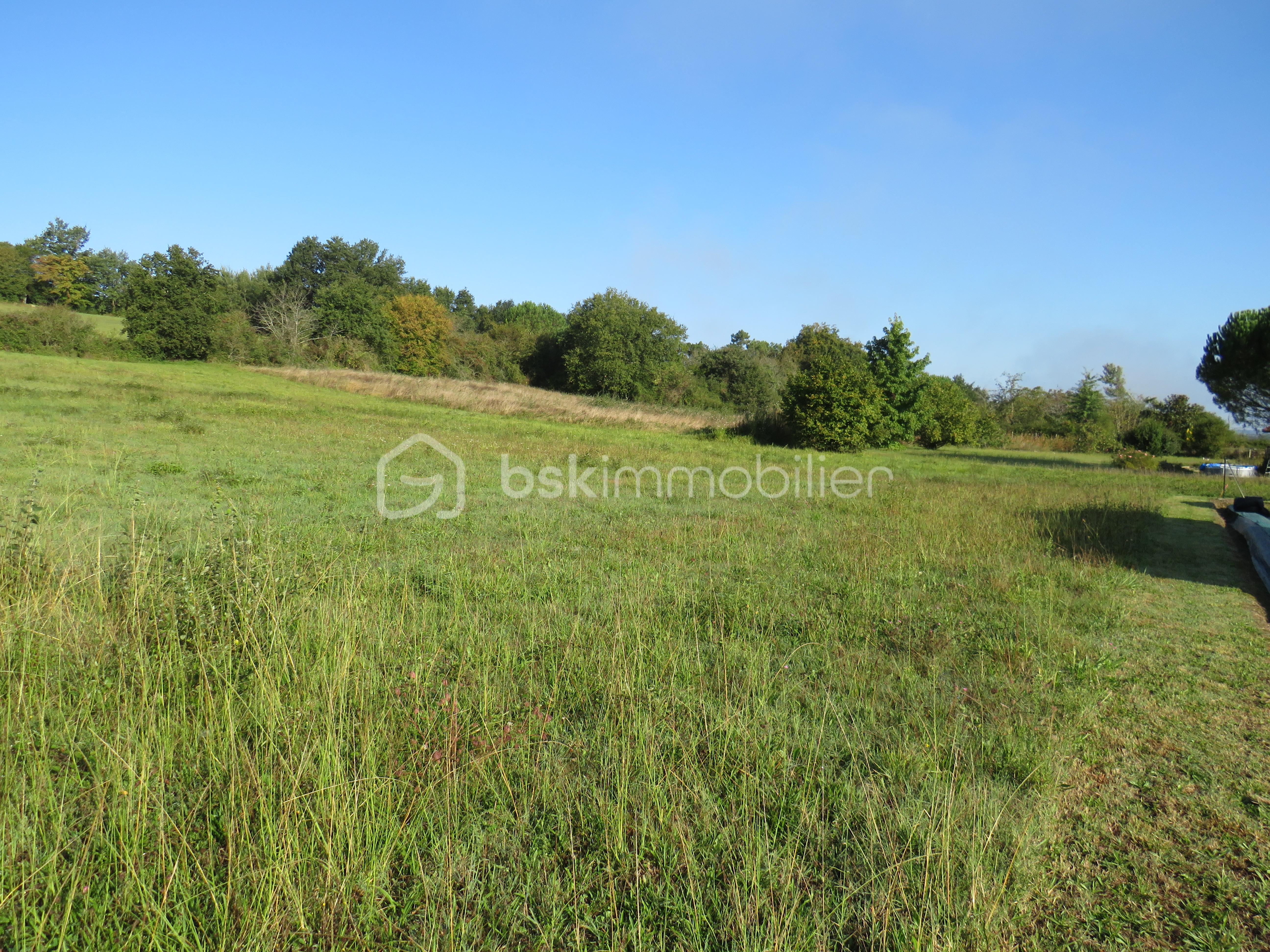 Terrain de 6 038 m² - IMG_4901.JPG