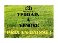 BAISSE TERRAIN.png