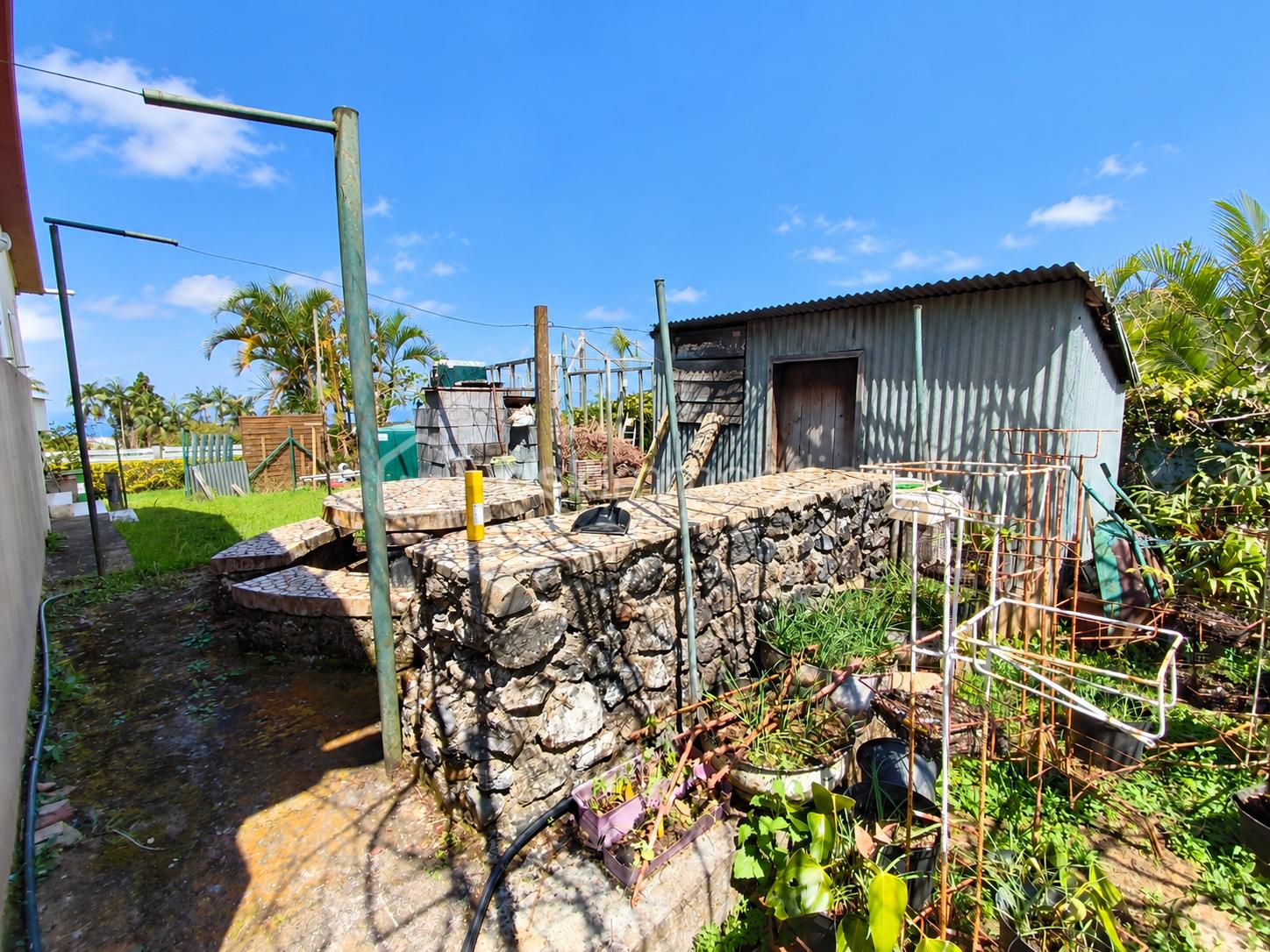 Jardin tropical ensoleillé sans vigne.png