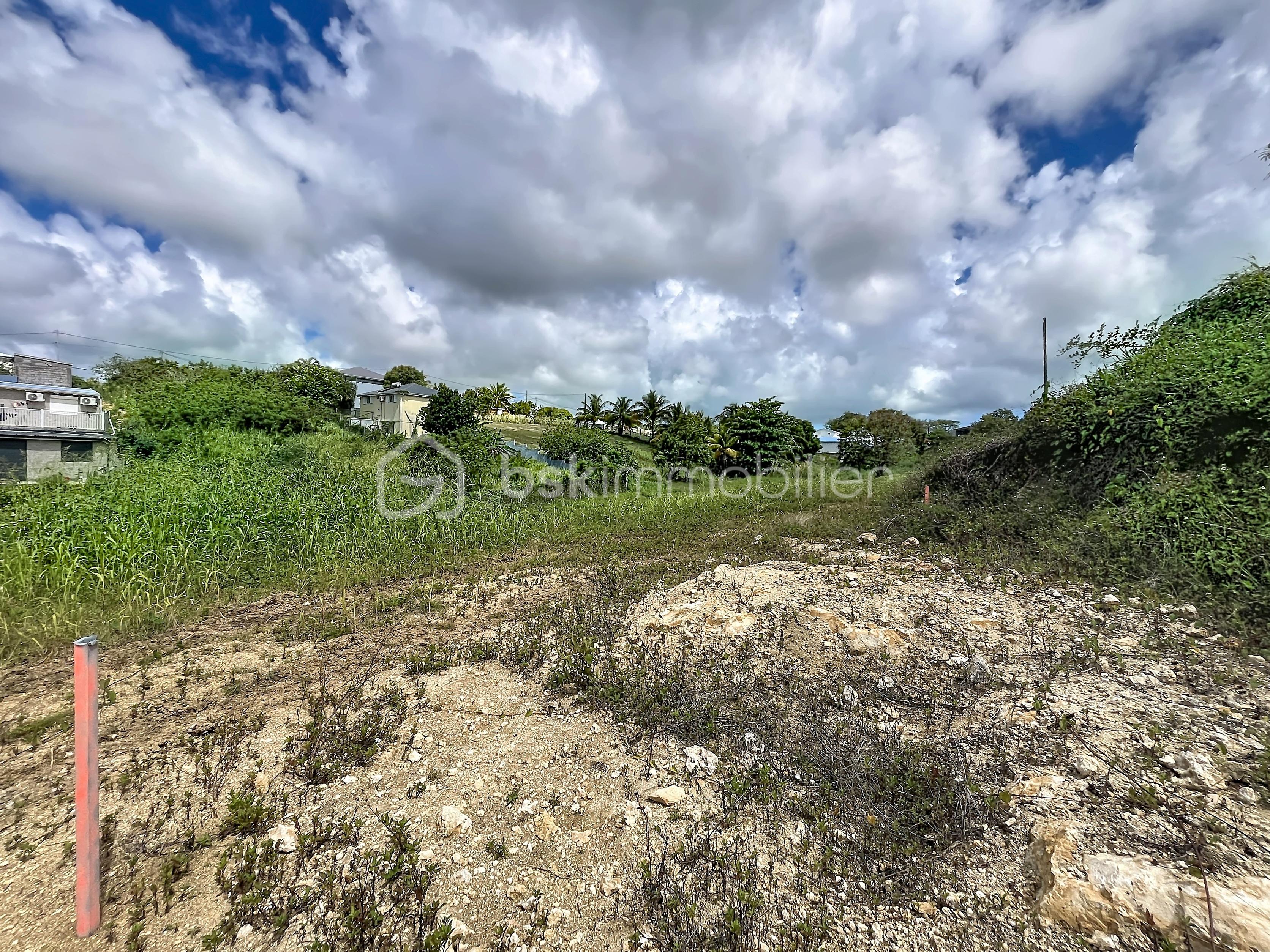 terrain-perian-patrick_00012.jpg