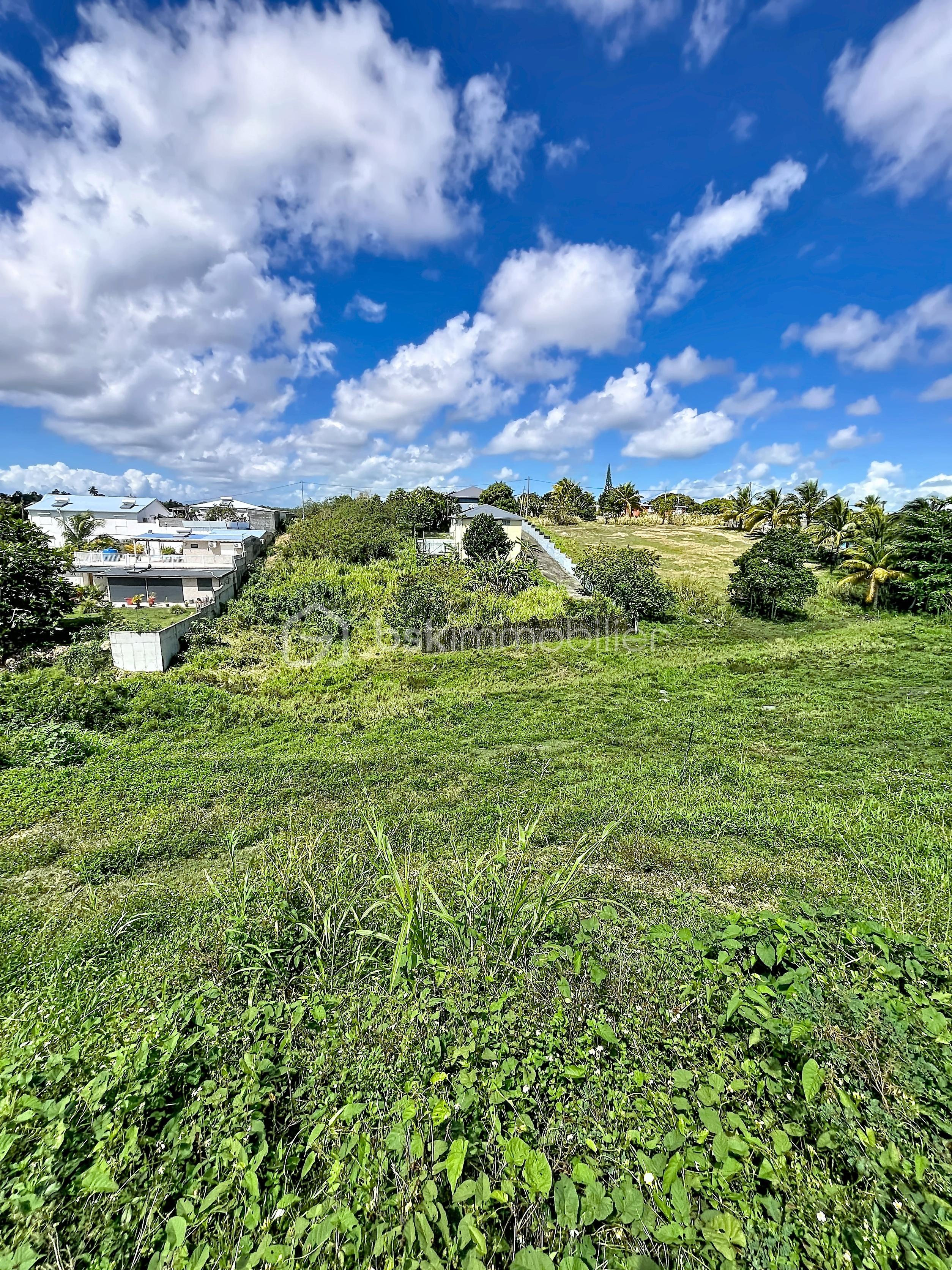 terrain-perian-patrick_00005.jpg