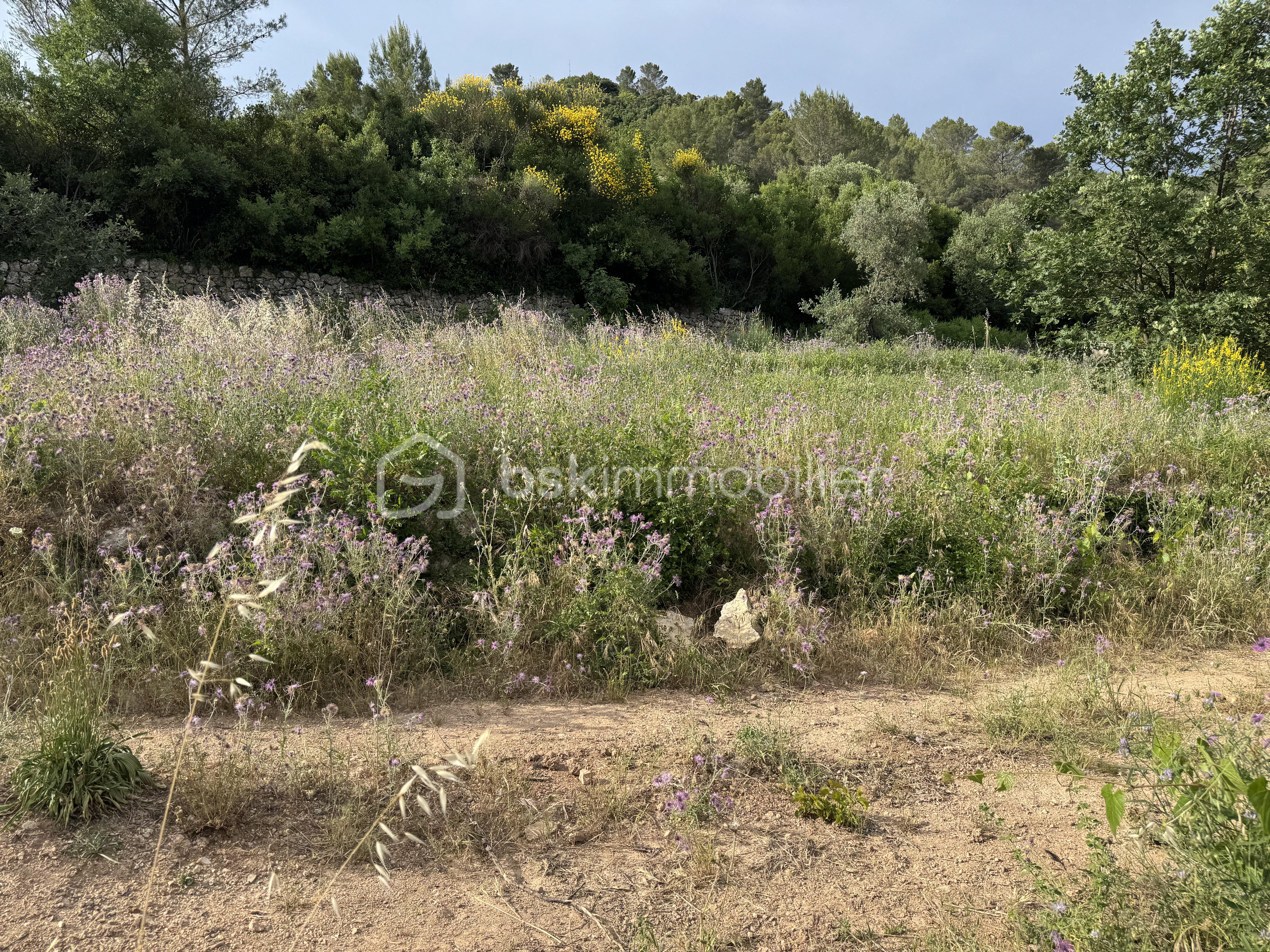 IMG_5770.jpeg