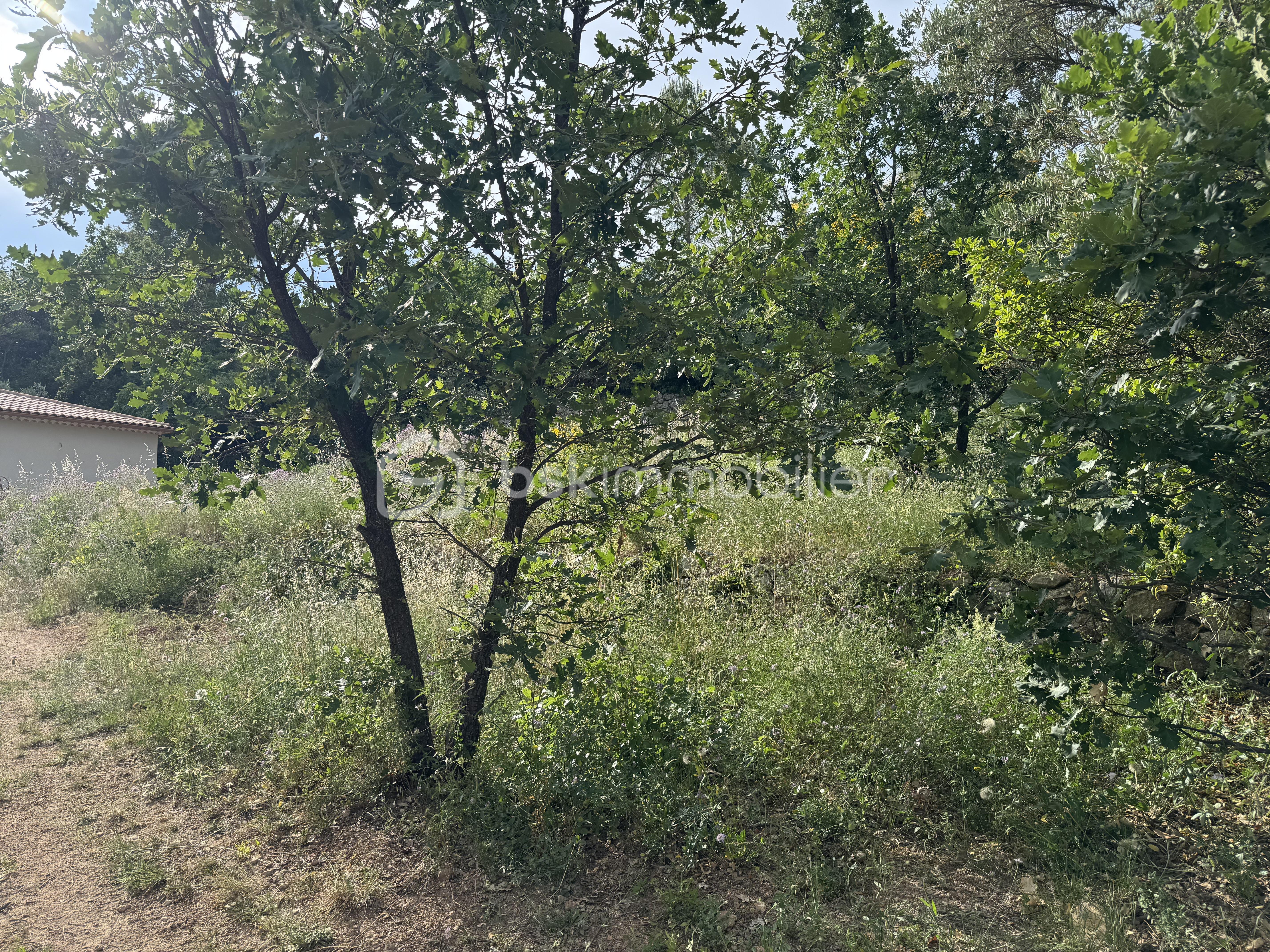 IMG_5772.jpeg