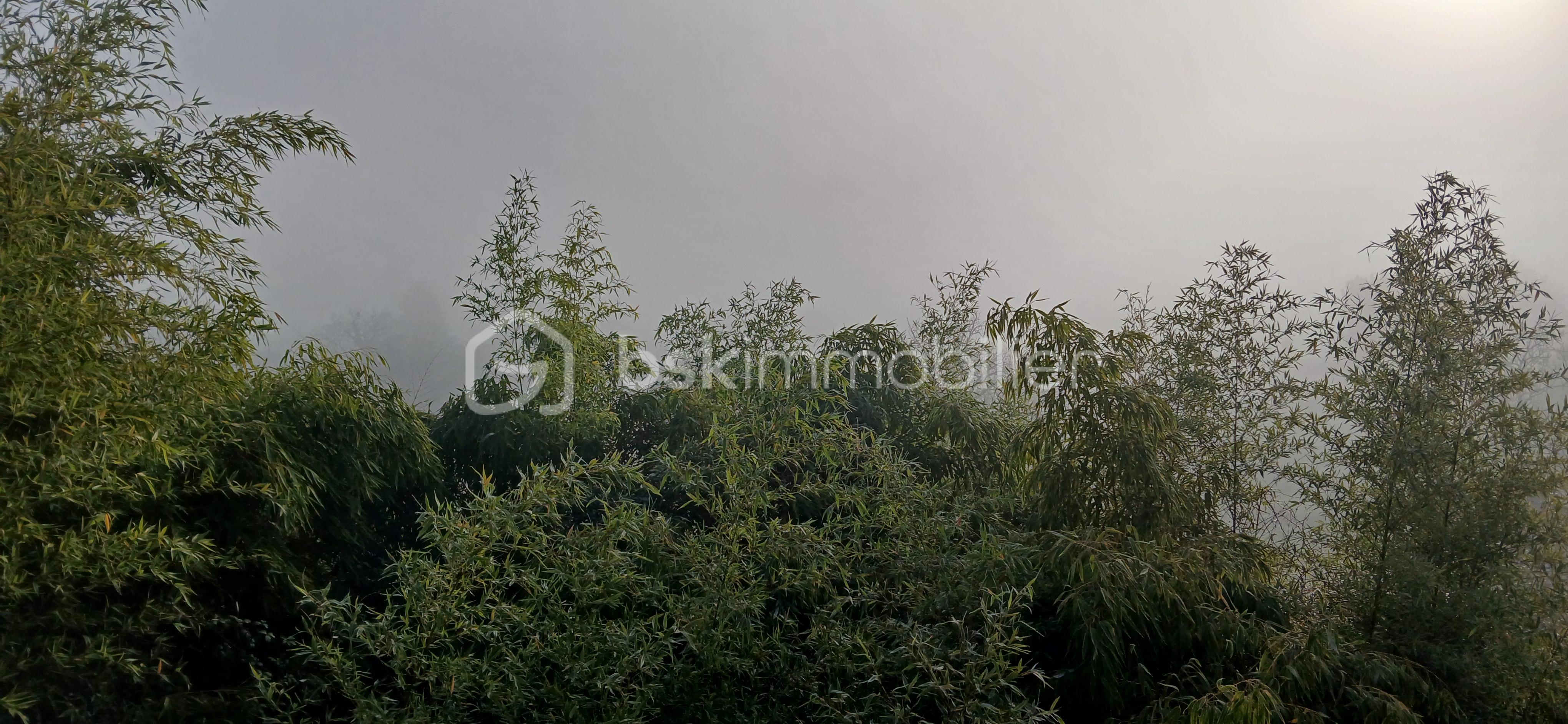 Maison de village de 130 m² - 20251201_100421.jpg