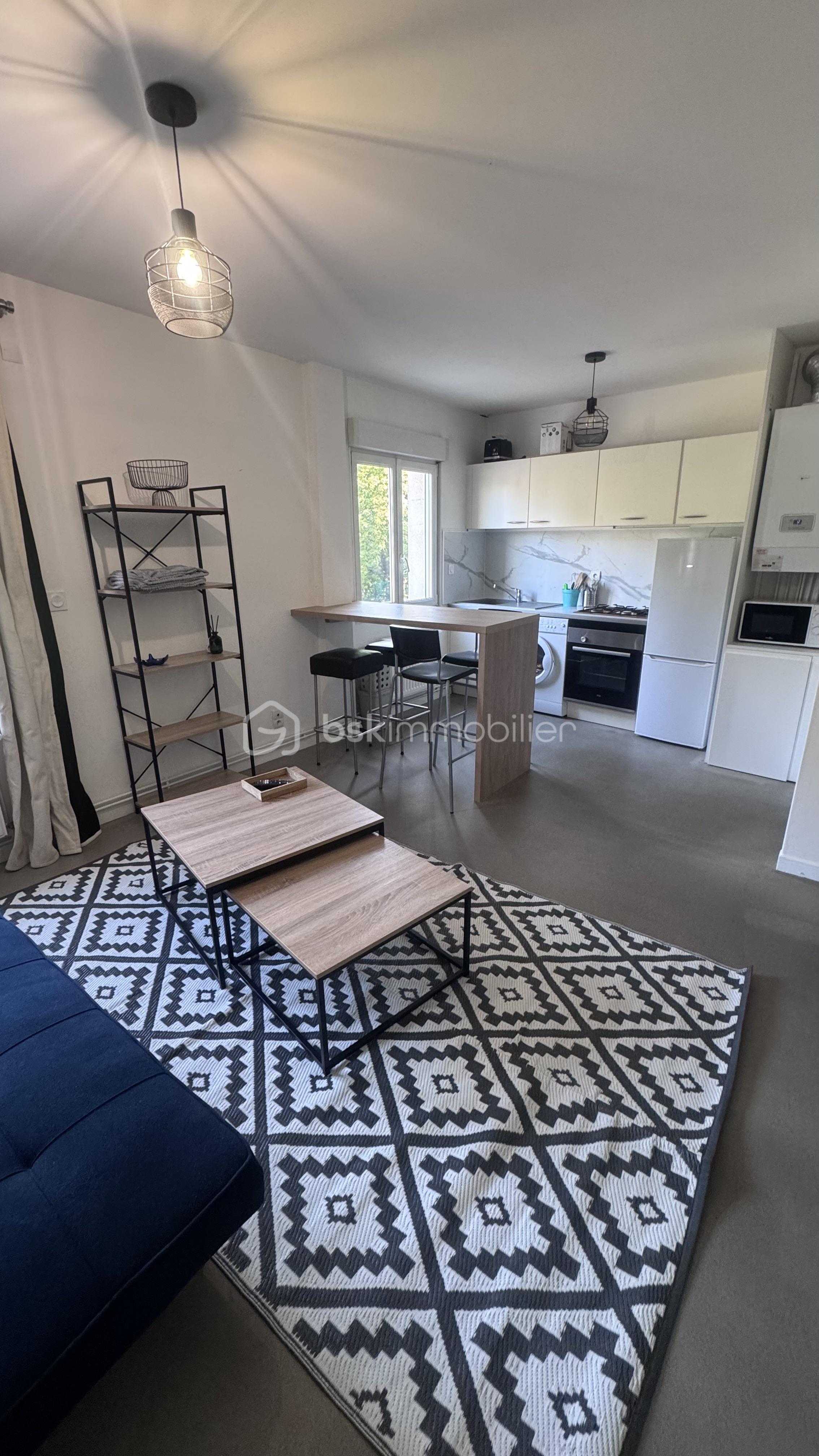 Appartement de 50,05 m² - IMG_4437.jpeg