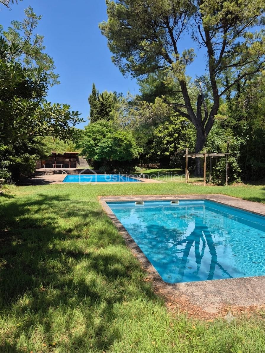piscine double bassin rempli.png