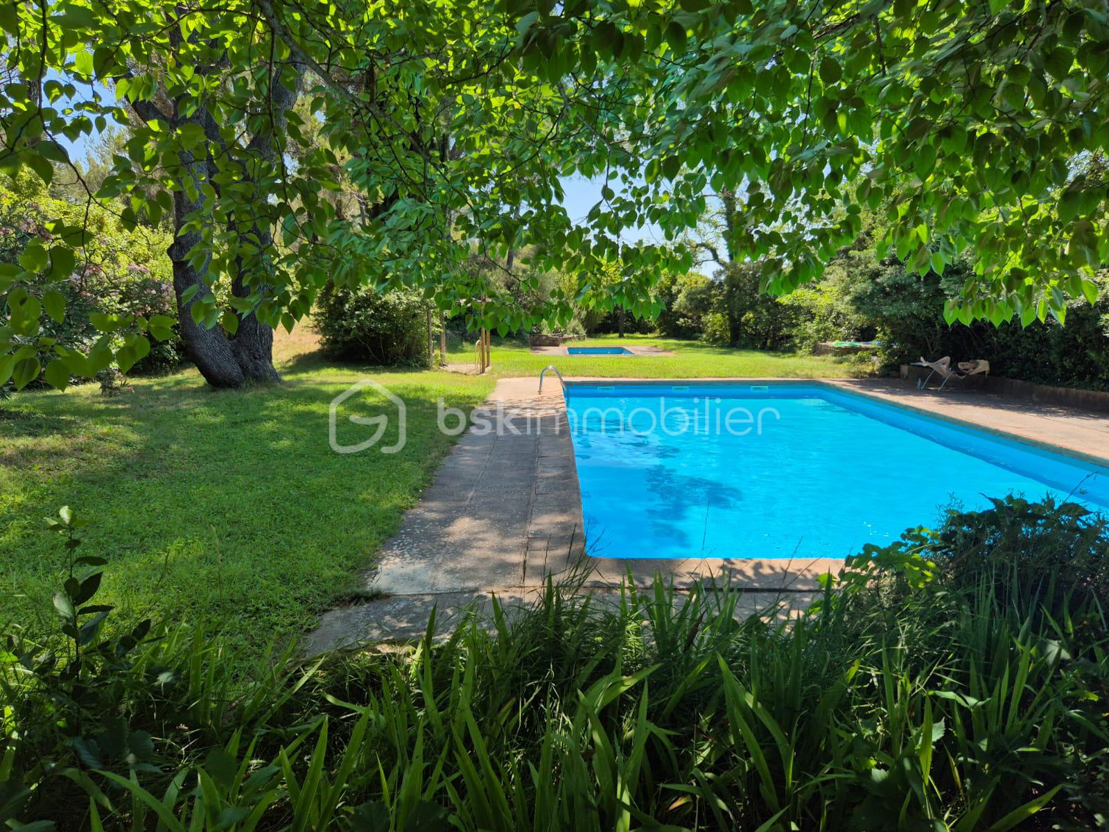 piscine vue 1.jpg