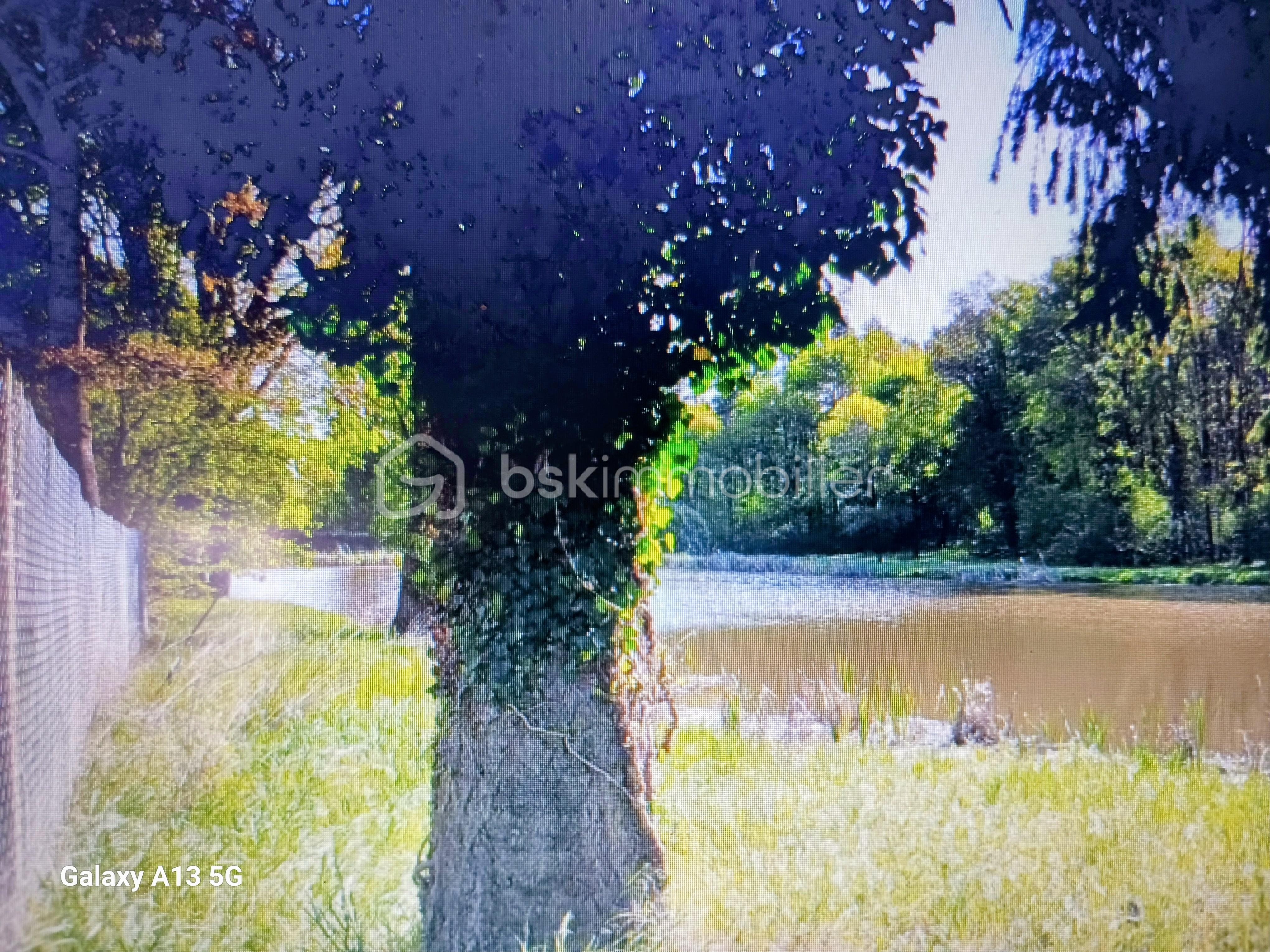 78e51e42-fdf7-43a1-8191-63fd23a4858f~1 (1).jpg