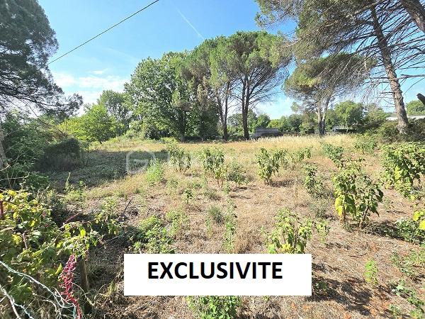 Exclusivité 4.jpg