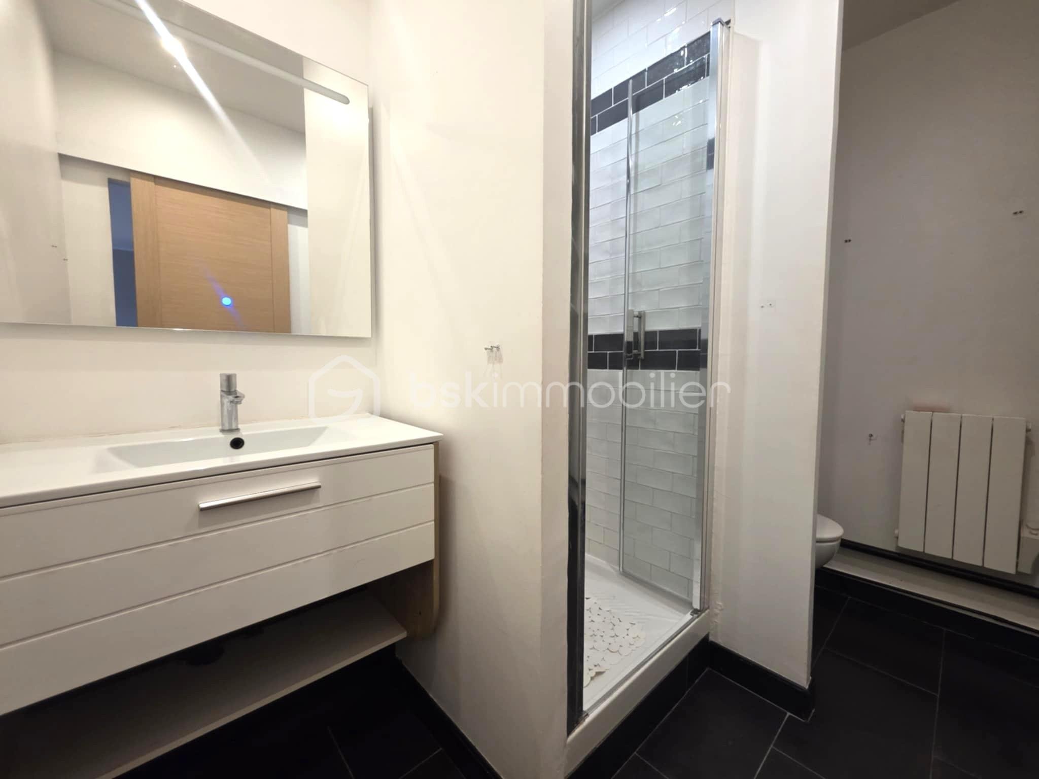 Appartement de 50,36 m² - SDB.jpg
