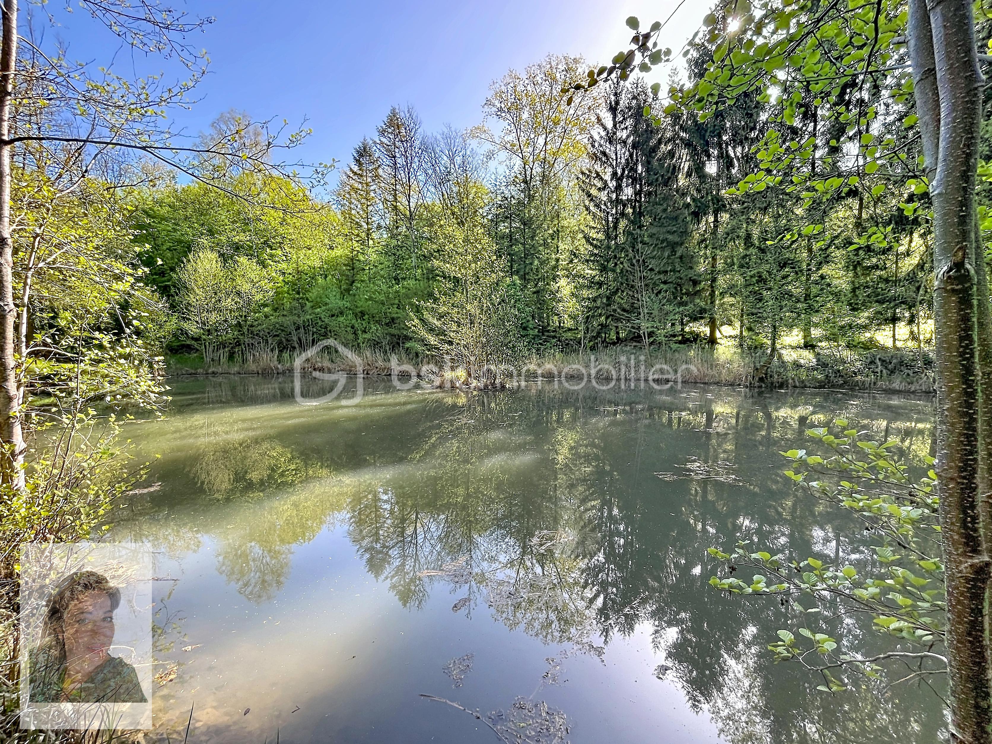 etang_00001 (5).jpg