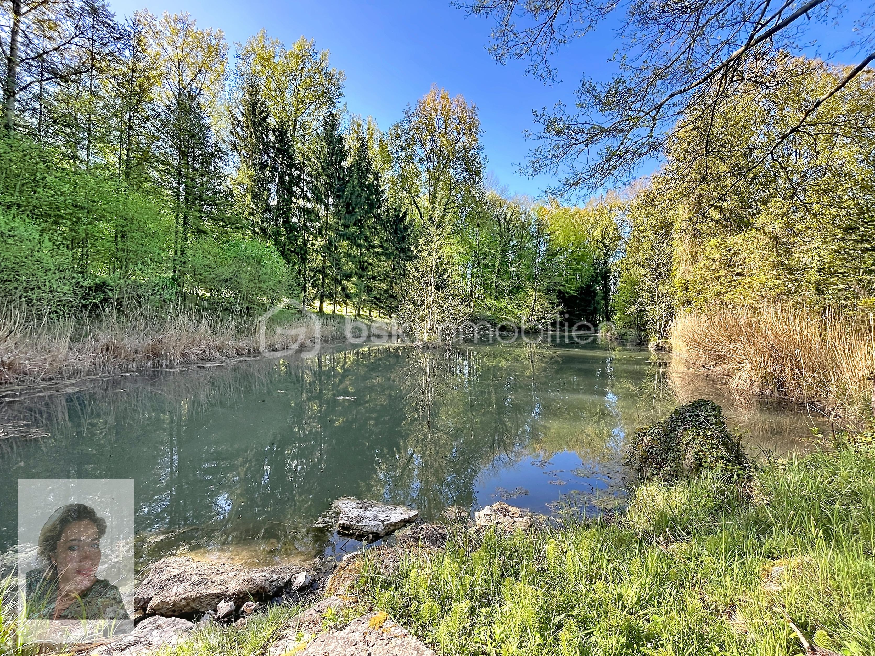etang_00001 (1).jpg