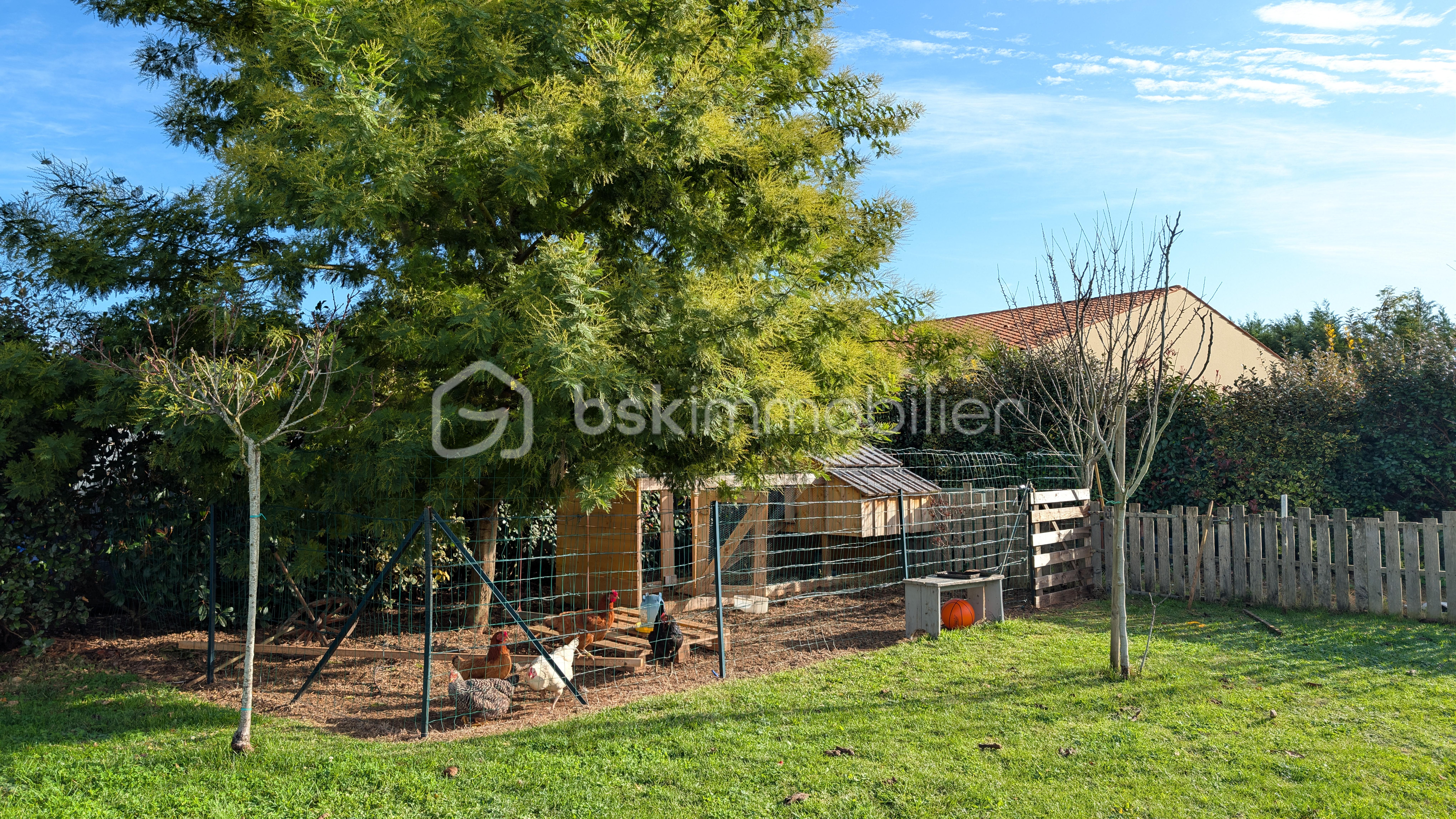 Maison de 151 m² - PXL_20251107_093711351.jpg