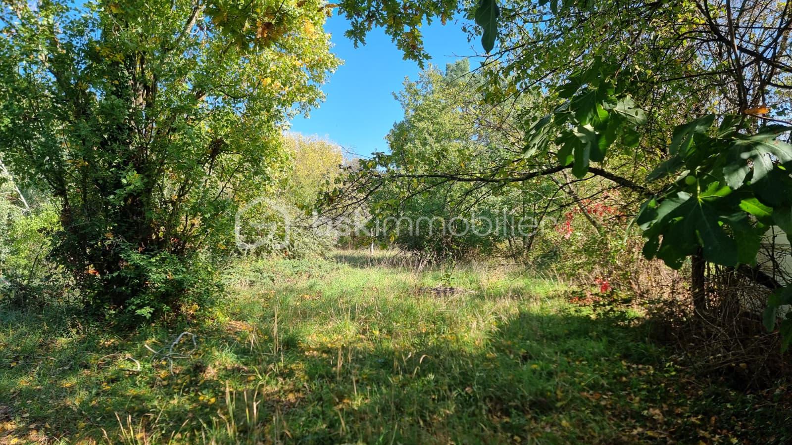 Lotissement de 857 m² - IMG-20251013-WA0006.jpg