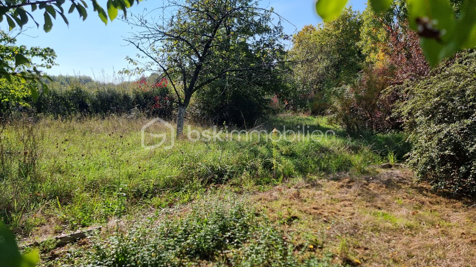 Lotissement de 857 m² - IMG-20251013-WA0004.jpg