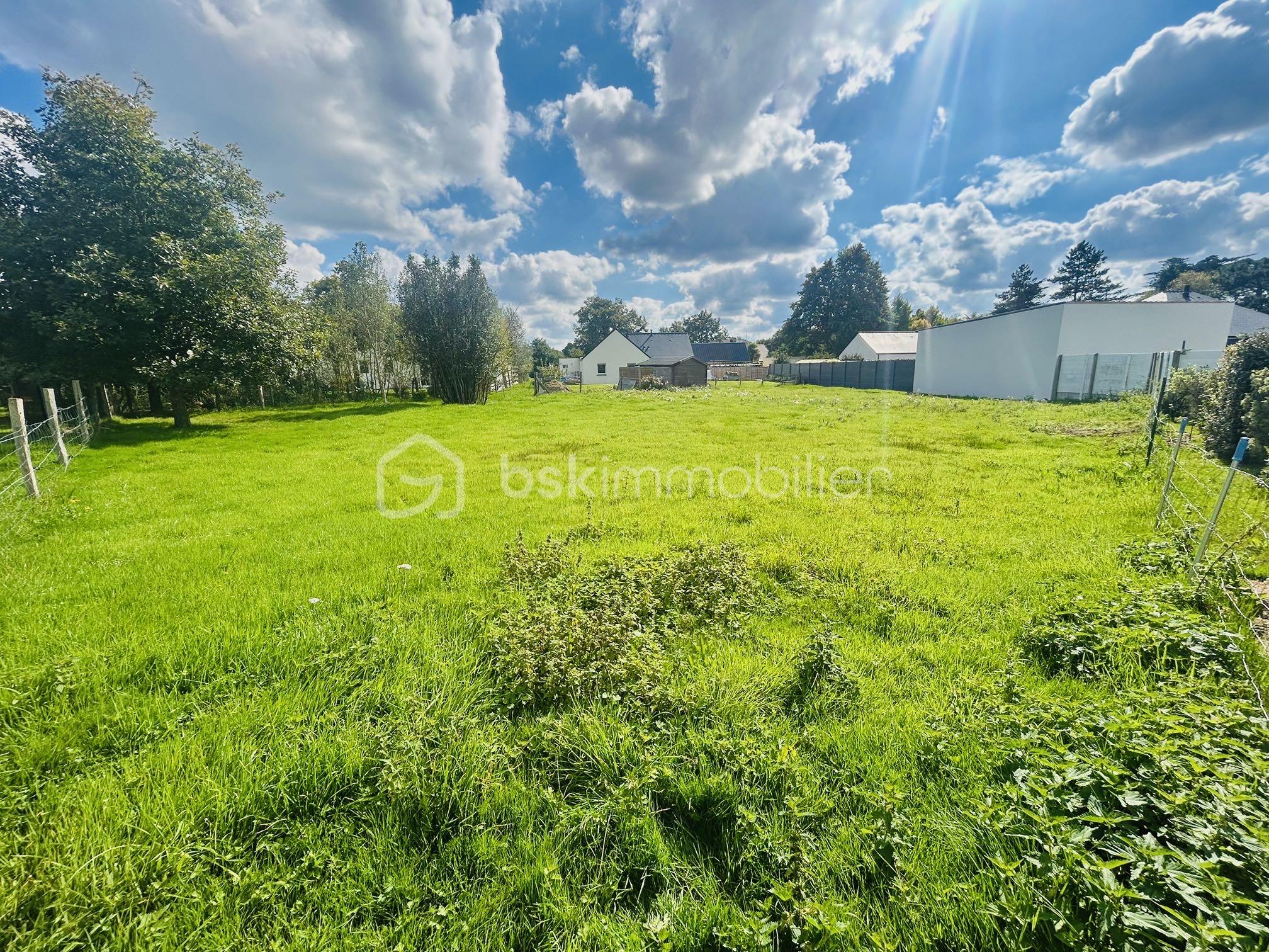 Terrain de 964 m² - IMG_3164.JPG