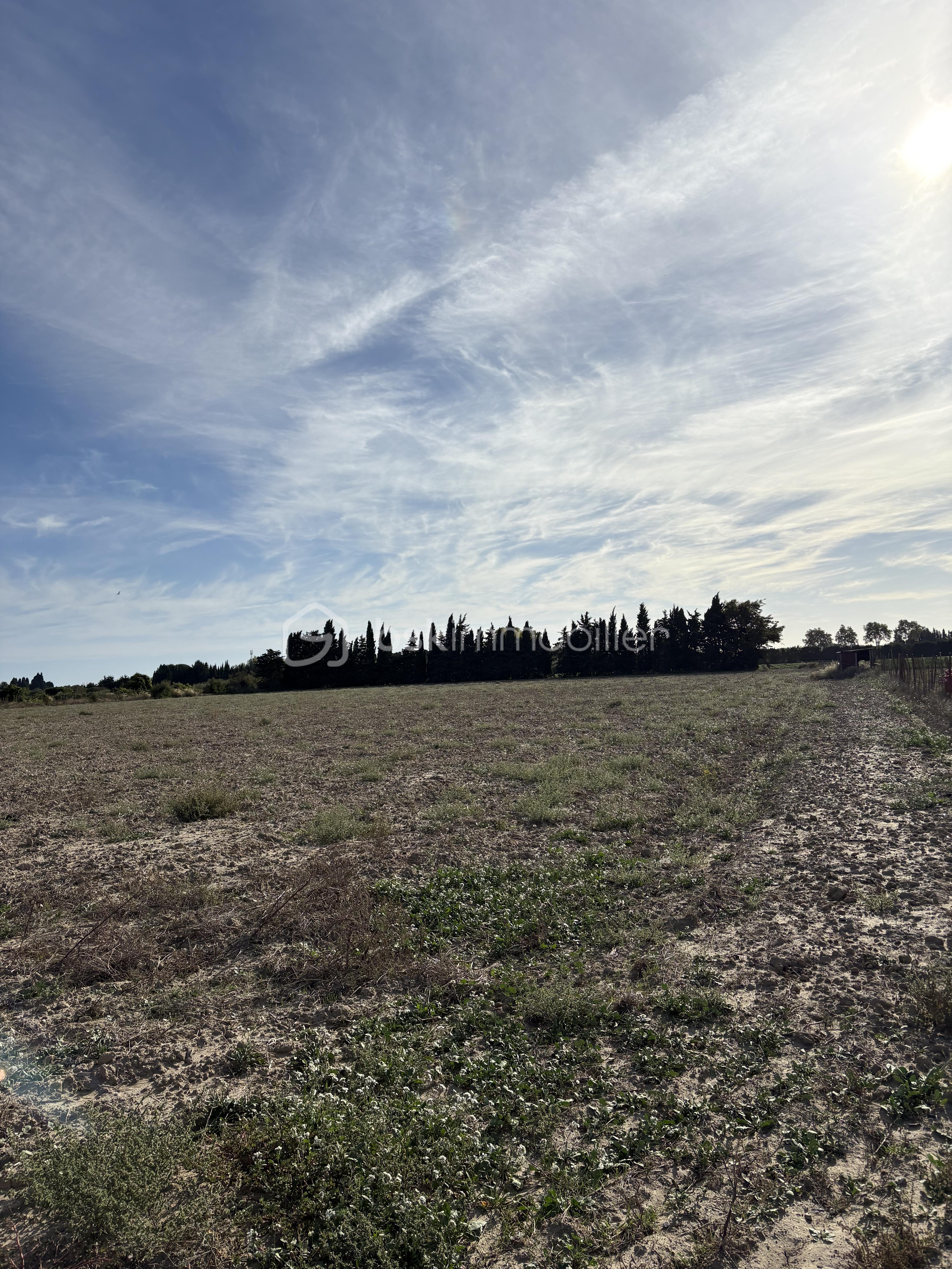 Terrain de 15 000 m² - IMG_7823.jpg