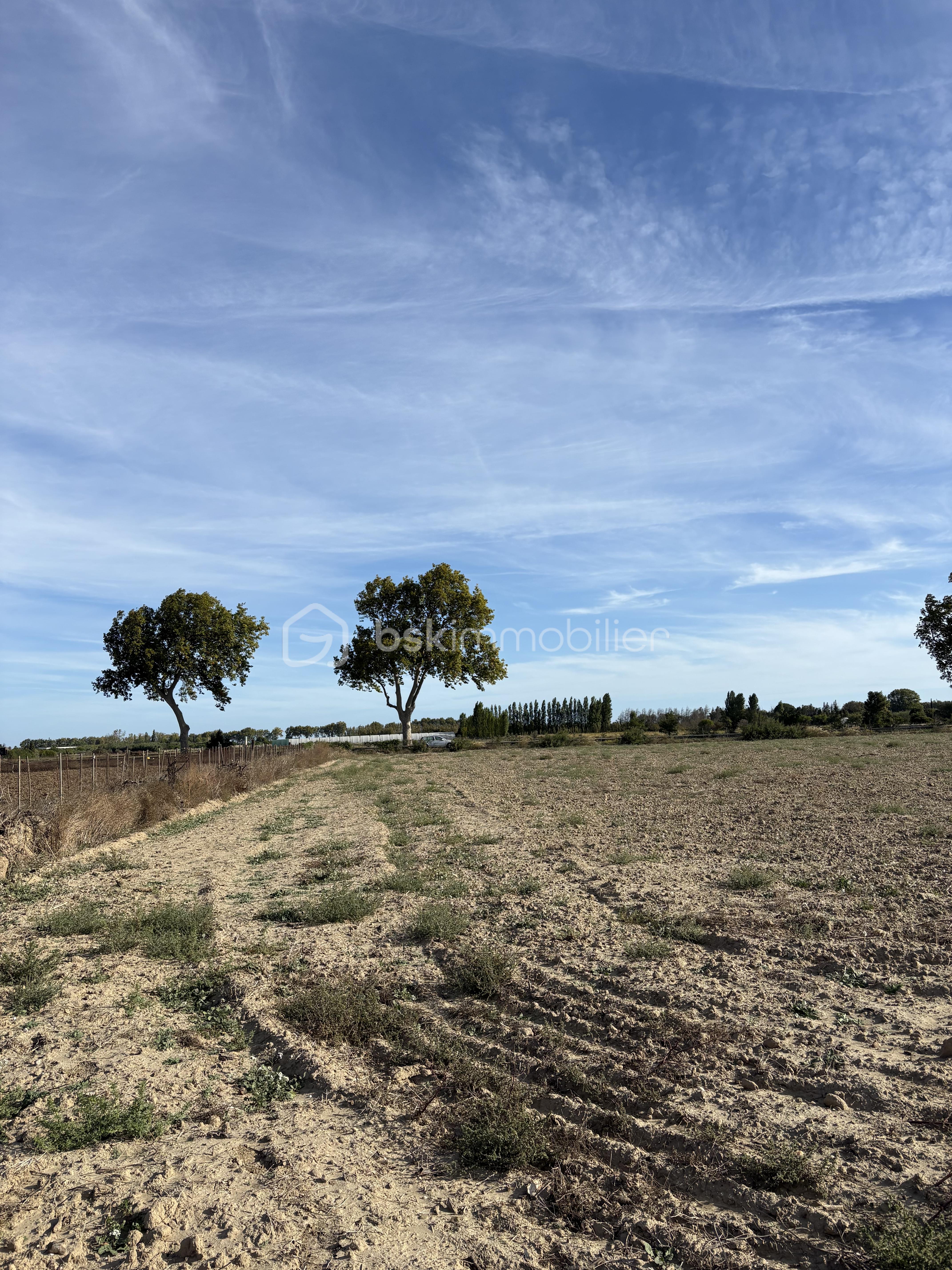 Terrain de 15 000 m² - IMG_7824.jpg